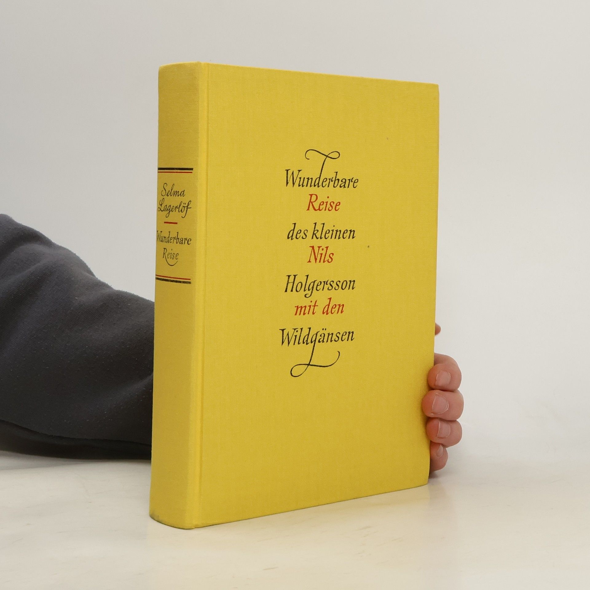 Selma Lagerlöf Wunderbare Reise des kleinen Nils Holgersson mit den Wildgänsen