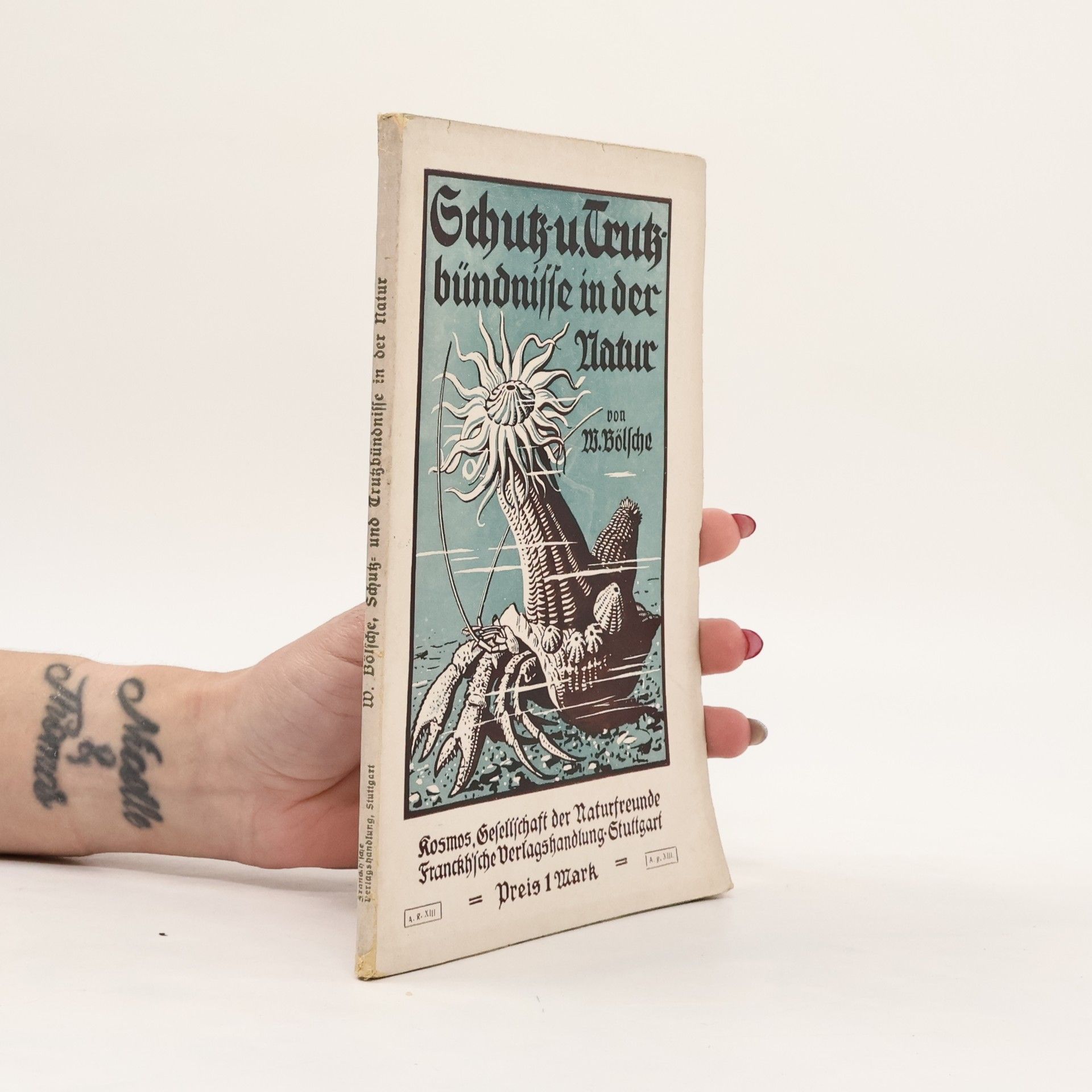 W. Bölsche Schutz- und Trutzbündnisse in der Natur