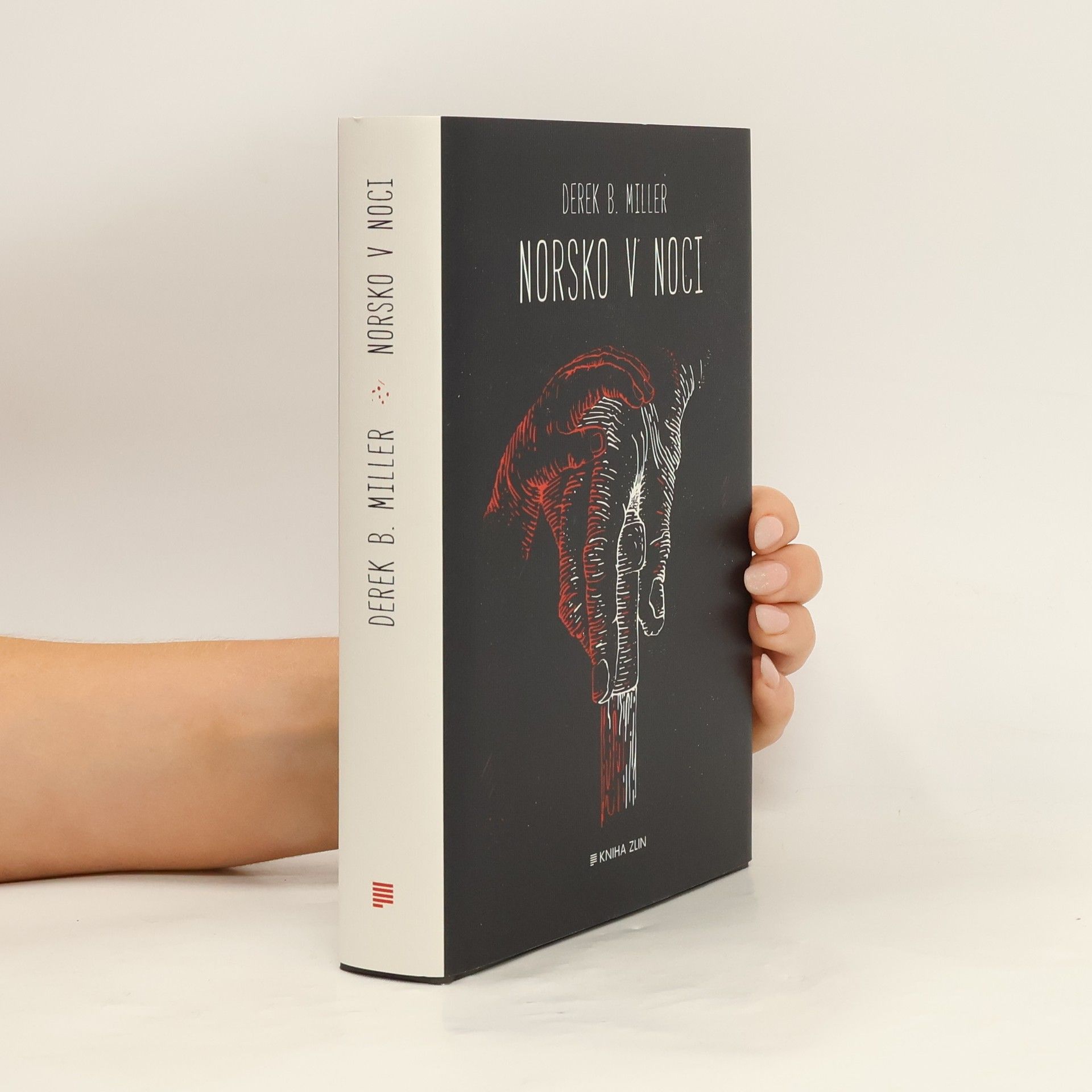 Derek B. Miller Norsko v noci