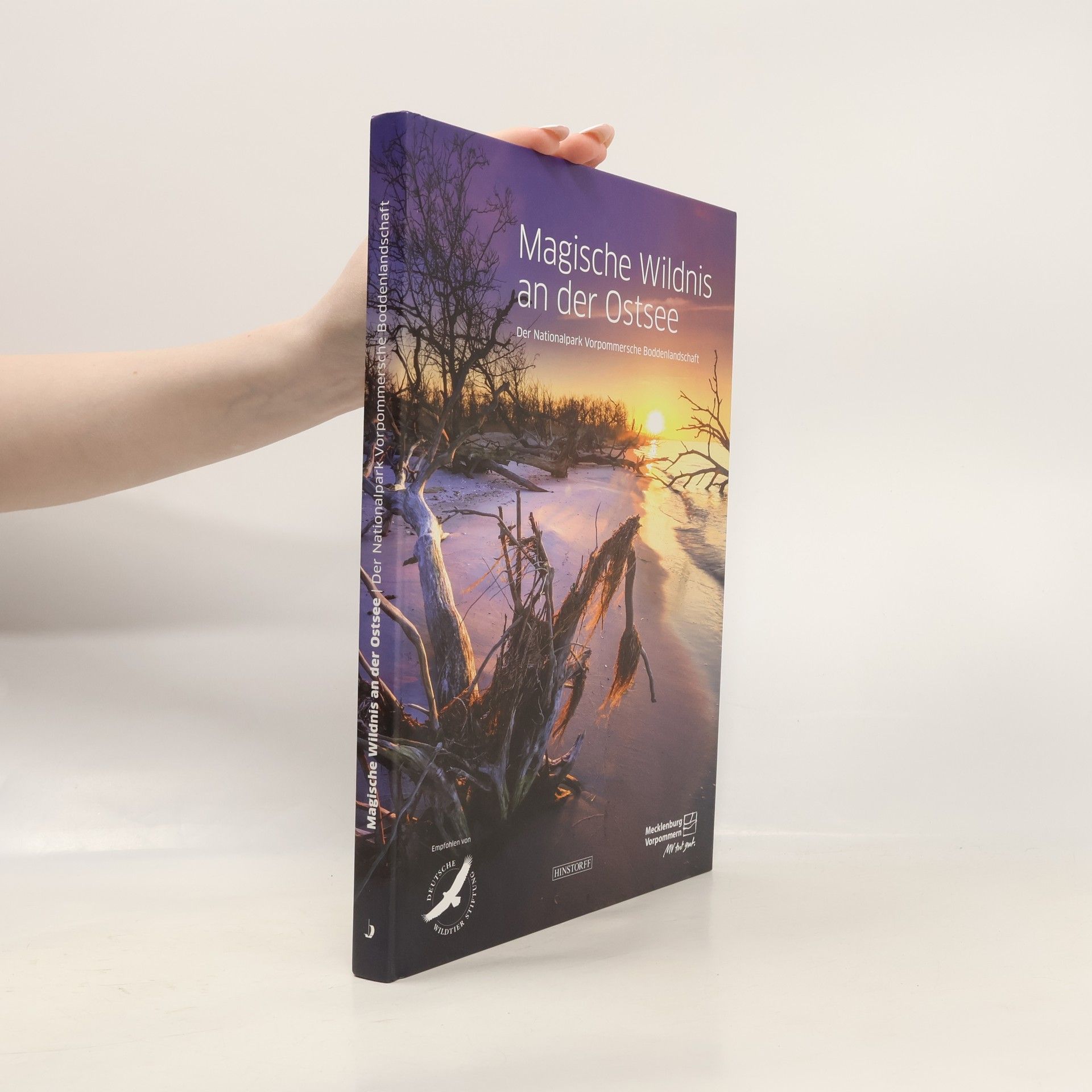 Timm Allrich Magische Wildnis an der Ostsee