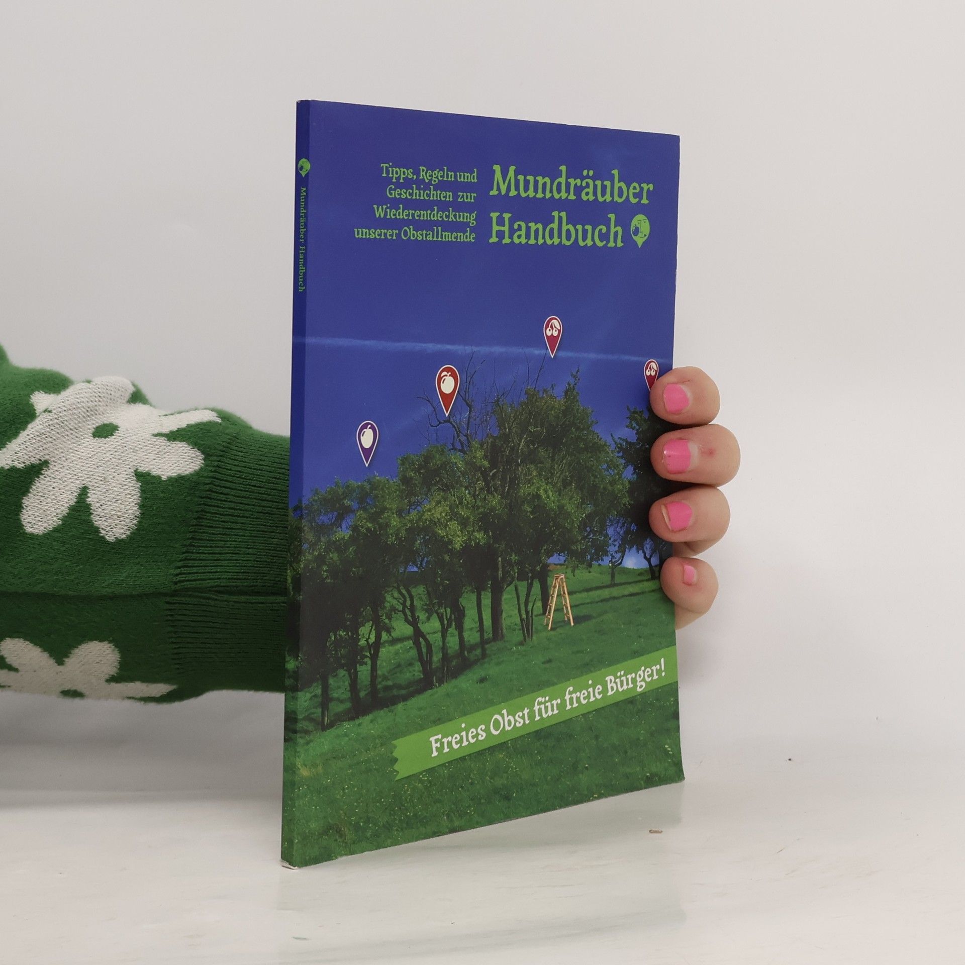 Agnes Horwart Mundräuber Handbuch