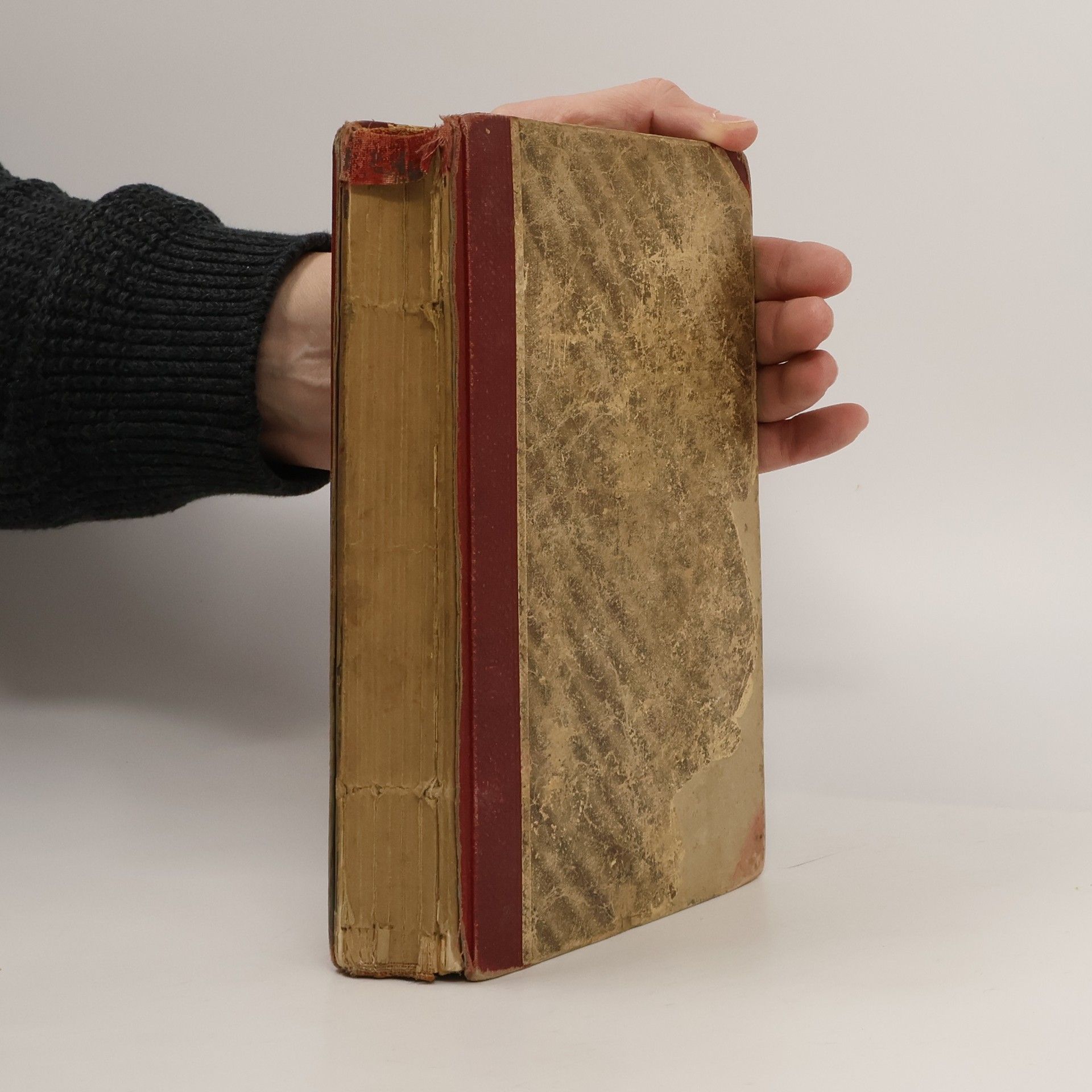 Annemarie von Rosenau Was ein Mutterherz vermag