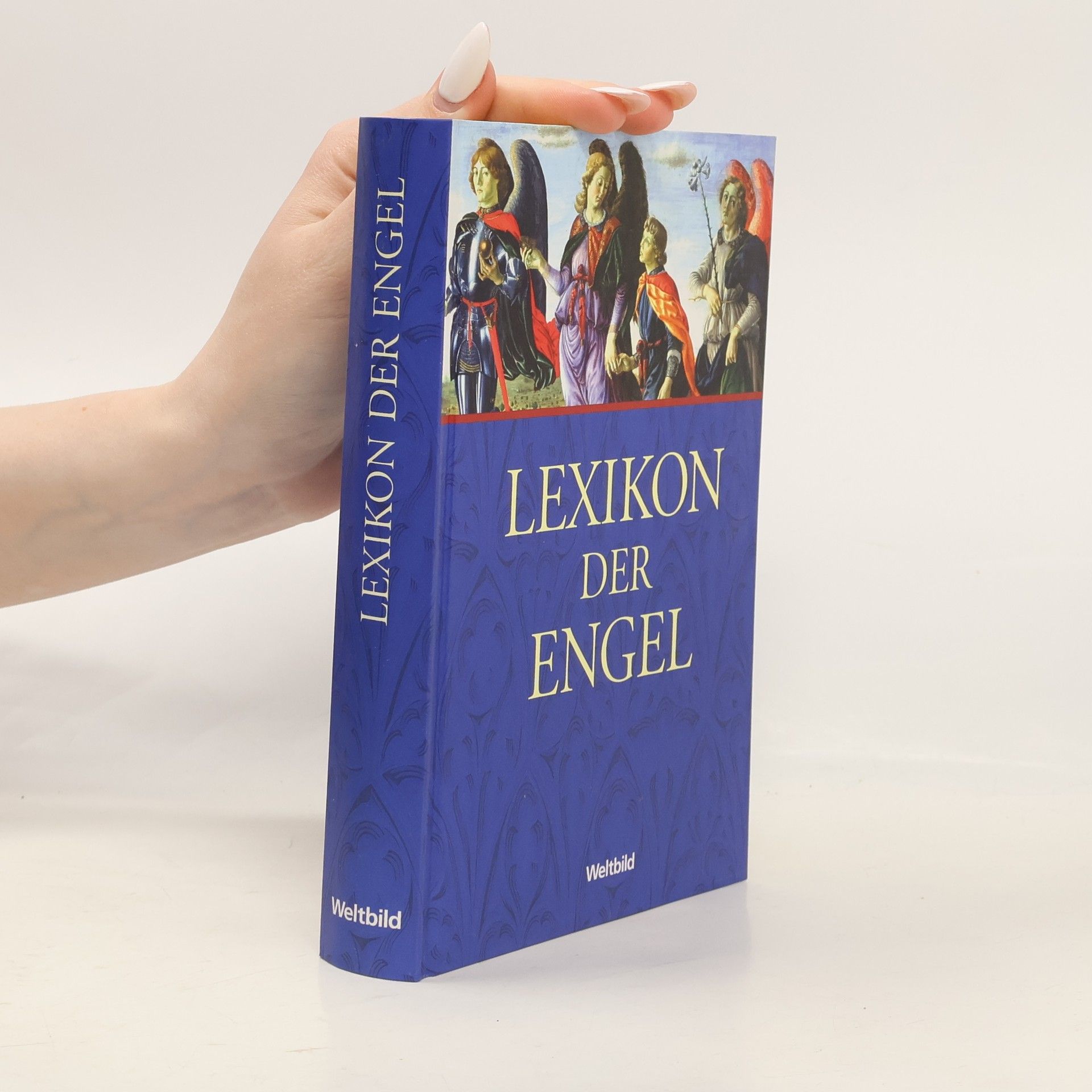 Autores varios Lexikon der Engel