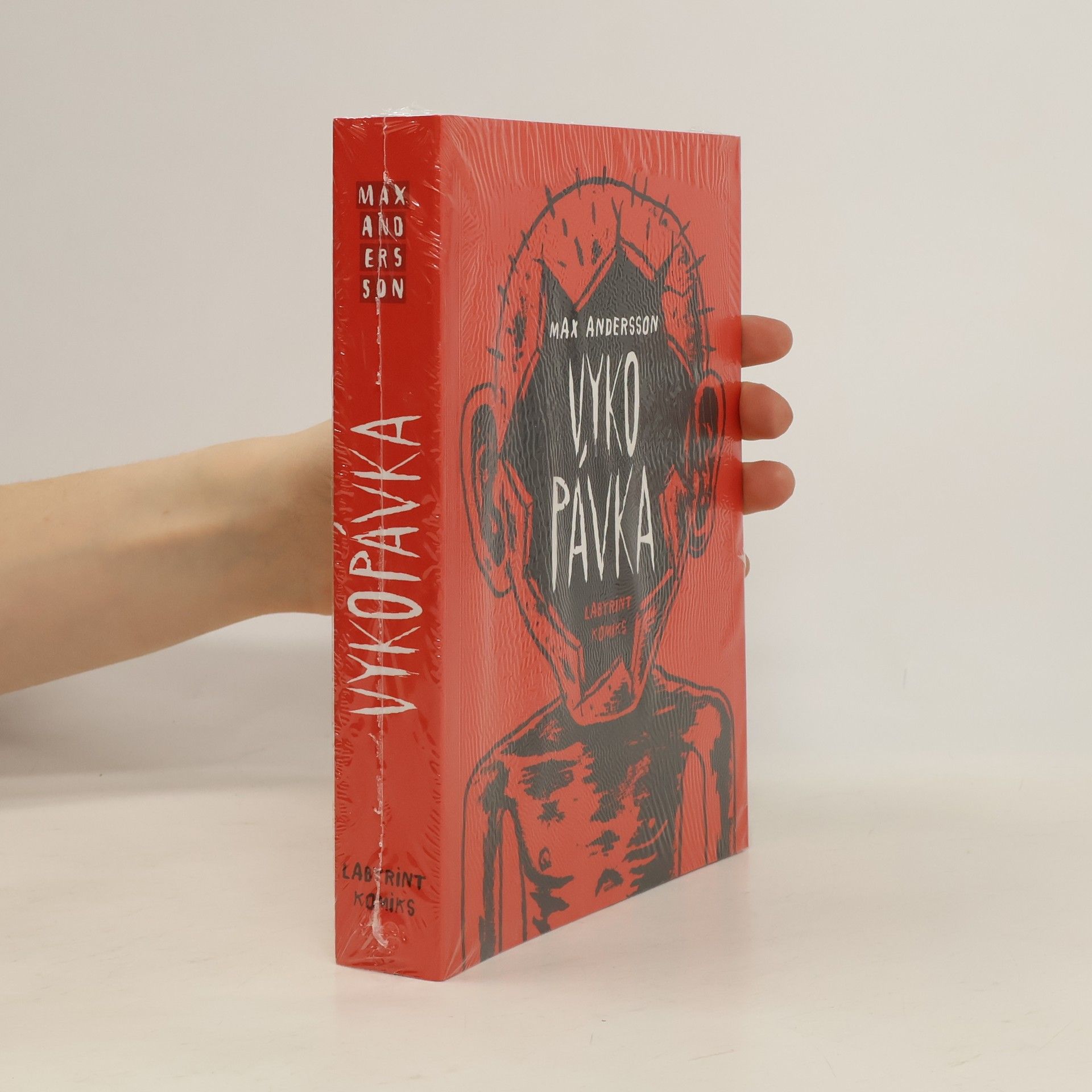 Max Andersson Vykopávka