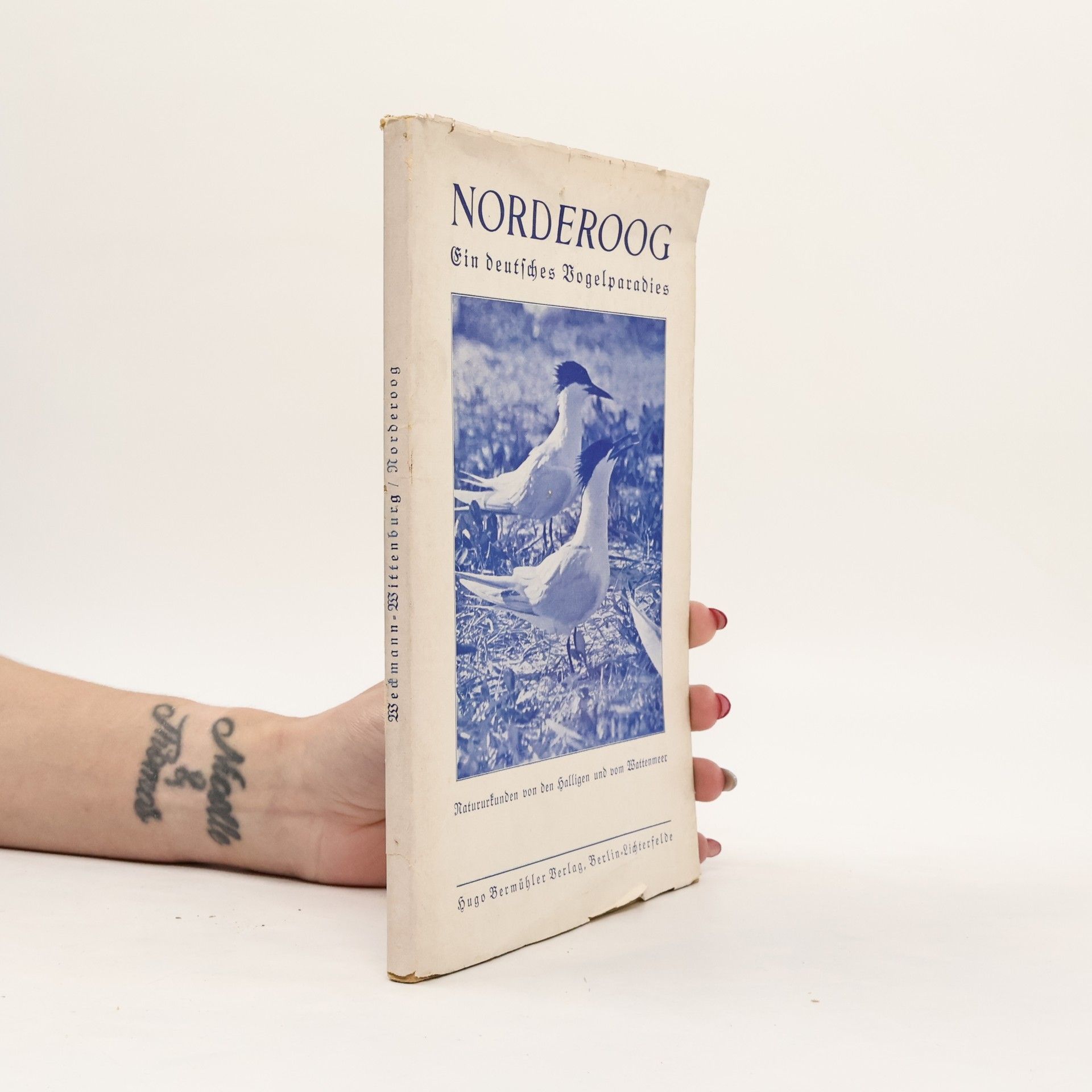 P. F. Weckmann Norderoog