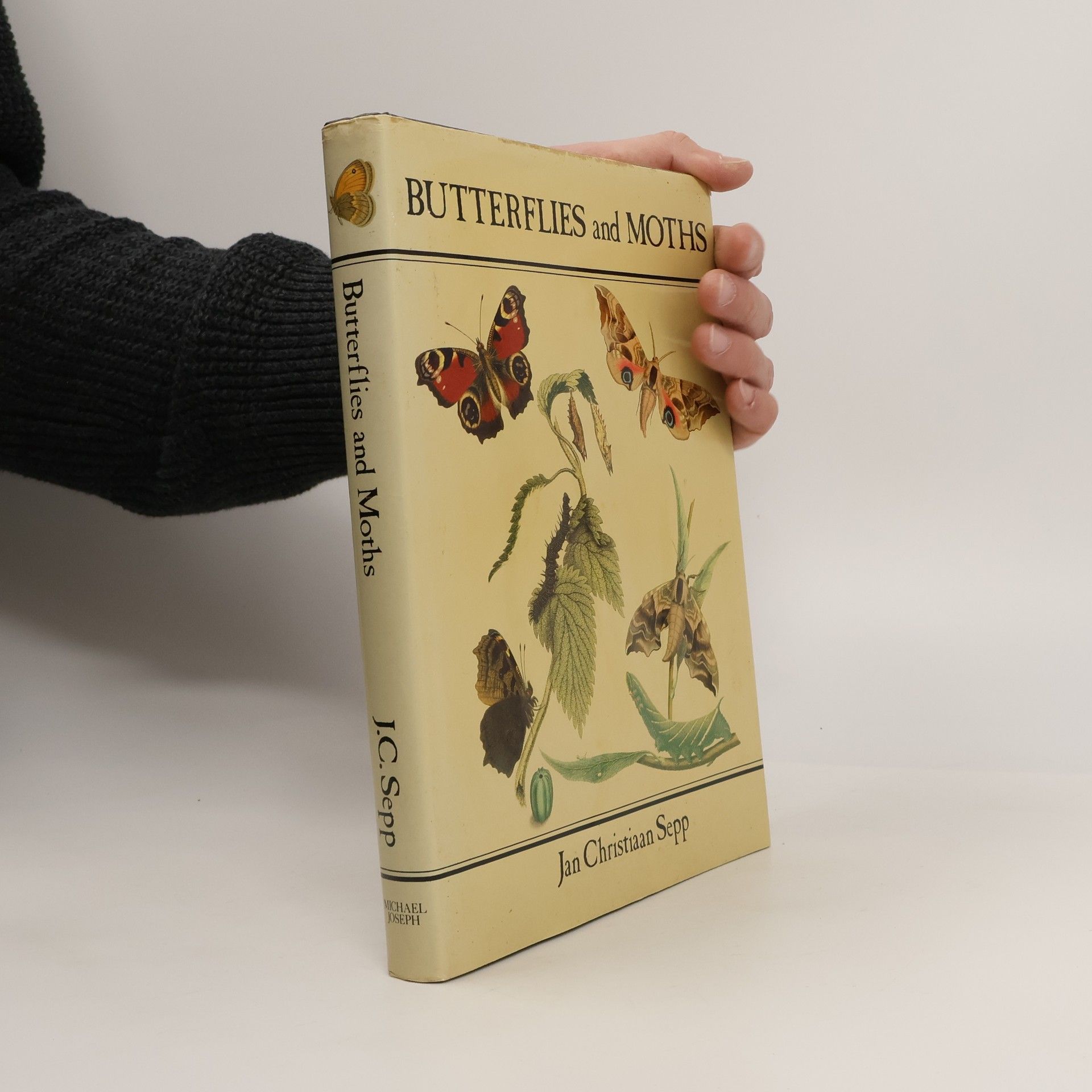 Jan Christiaan Sepp Butterflies and Moths