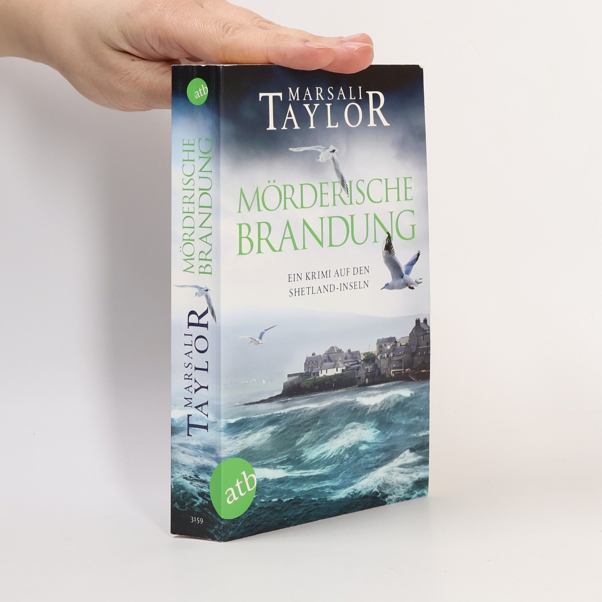 Marsali Taylor Mörderische Brandung