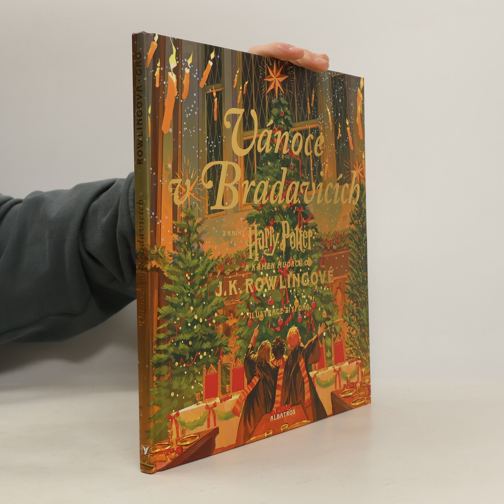 J. K. Rowling Vánoce v Bradavicích