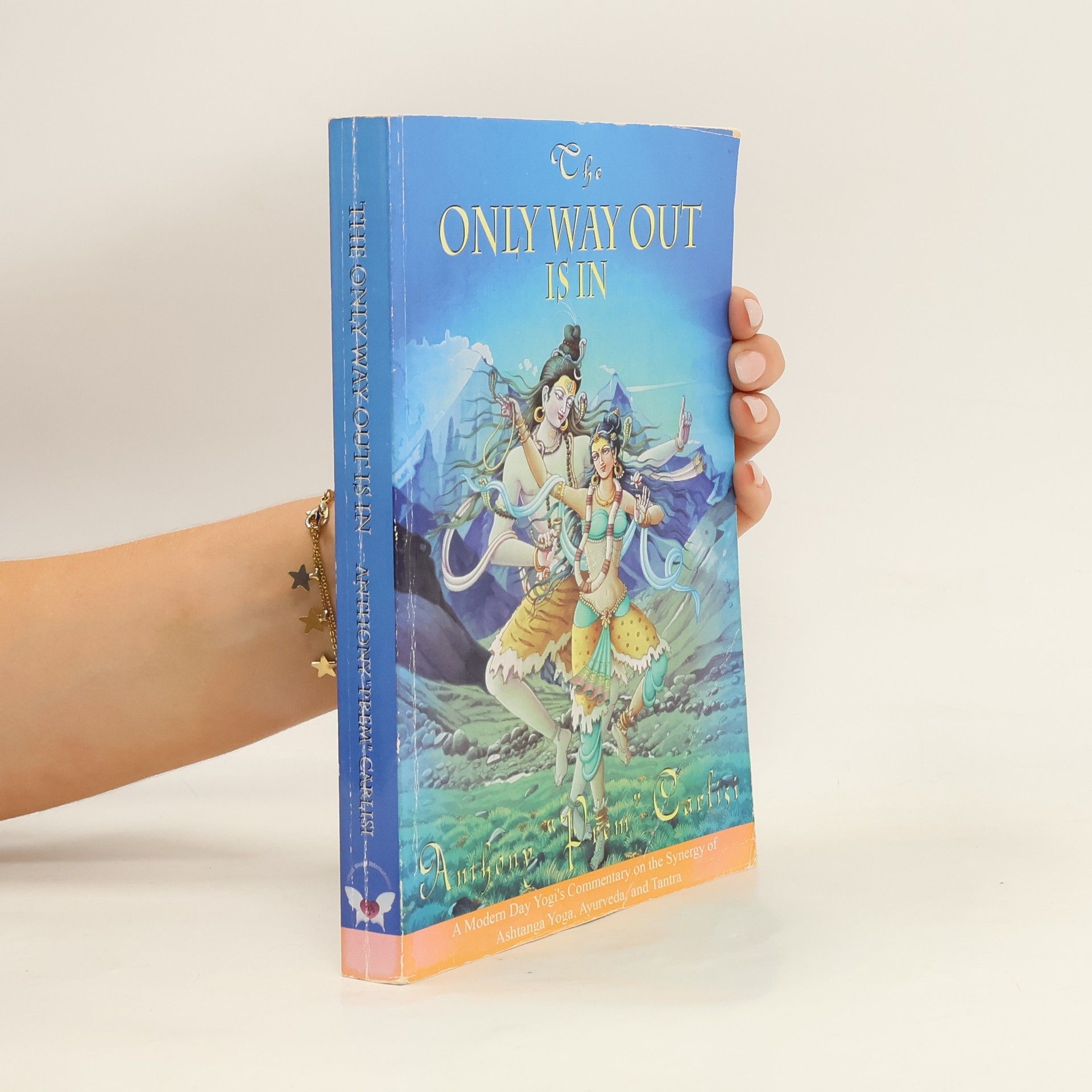 Anthony Prem Carlisi The Only Way Out is In