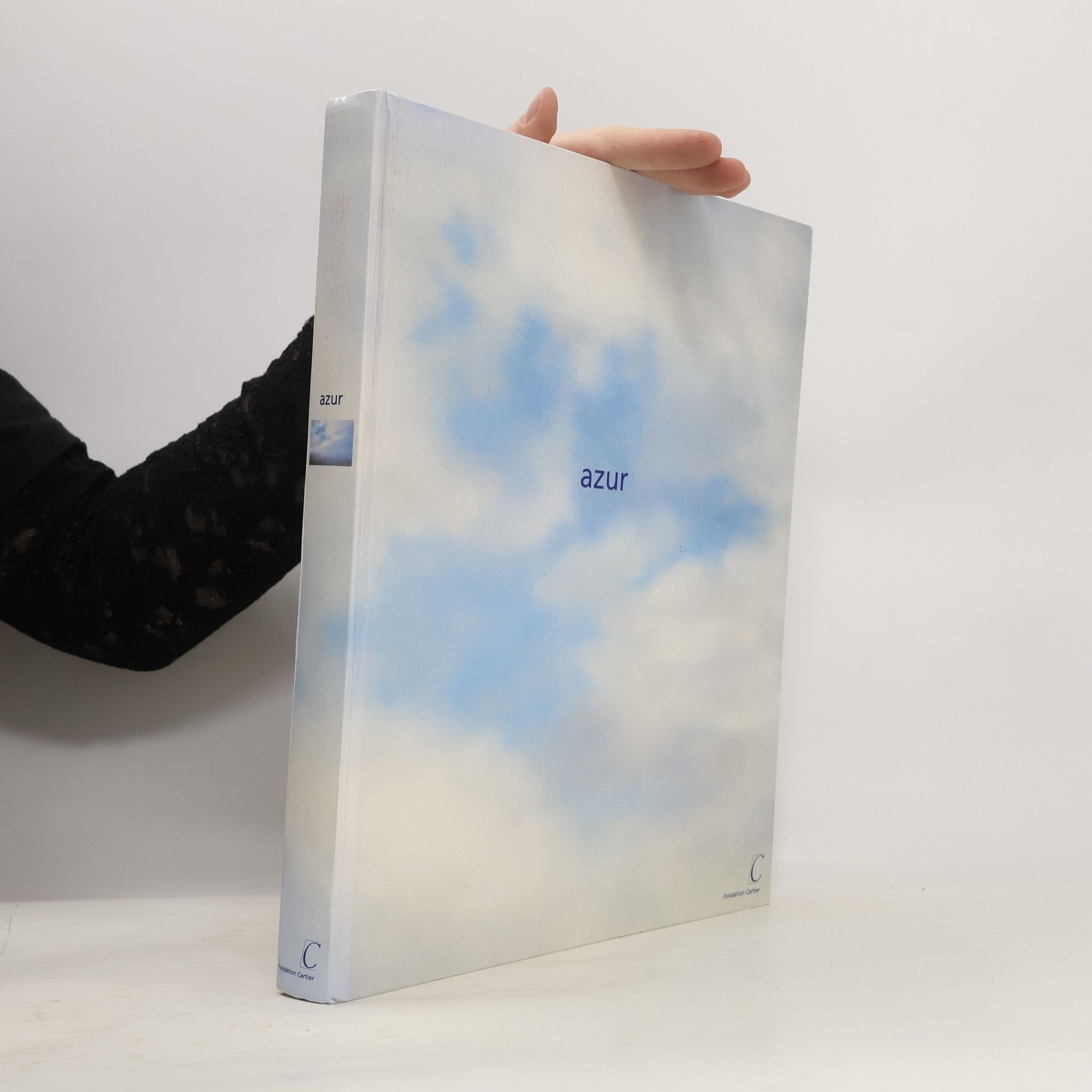 Fondation Cartier Azur