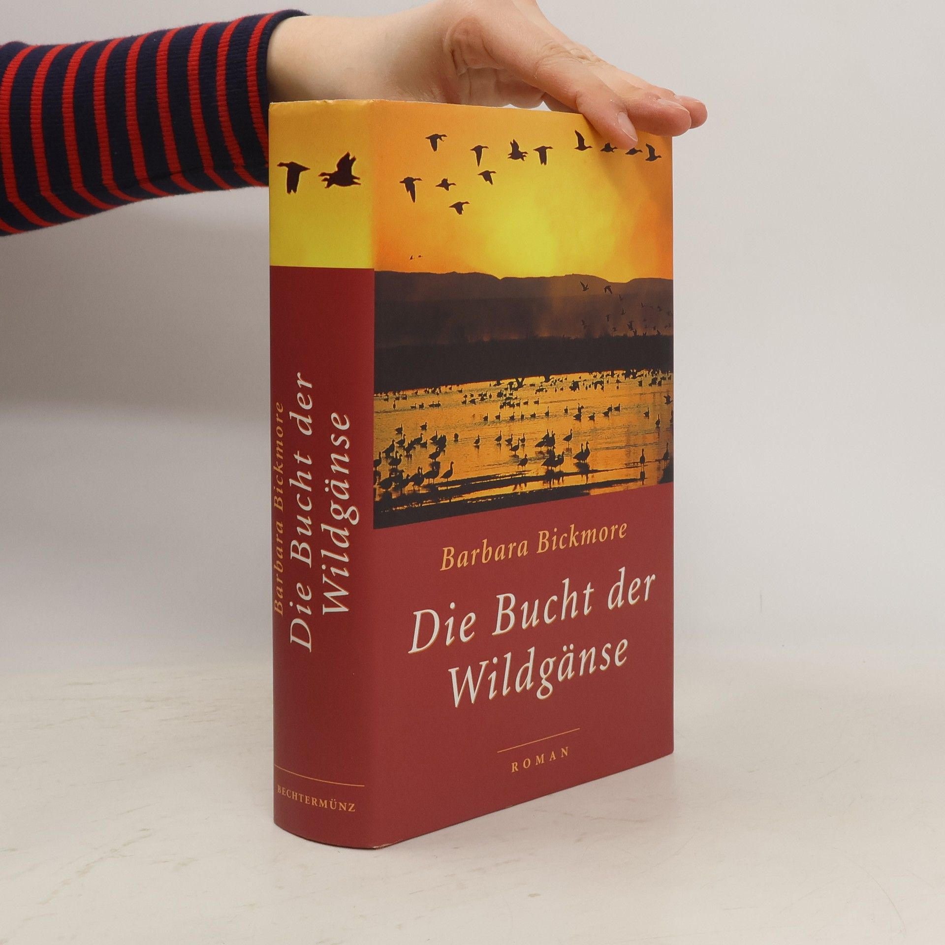 Barbara Bickmore Die Bucht der Wildgänse