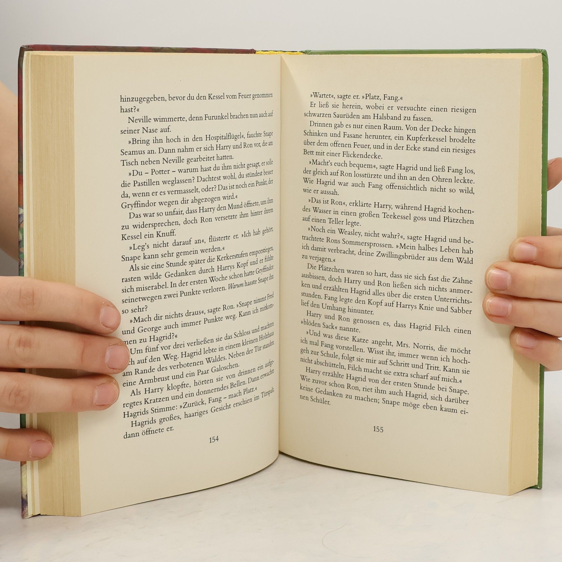 J. K. Rowling Harry Potter und der Stein der Weisen