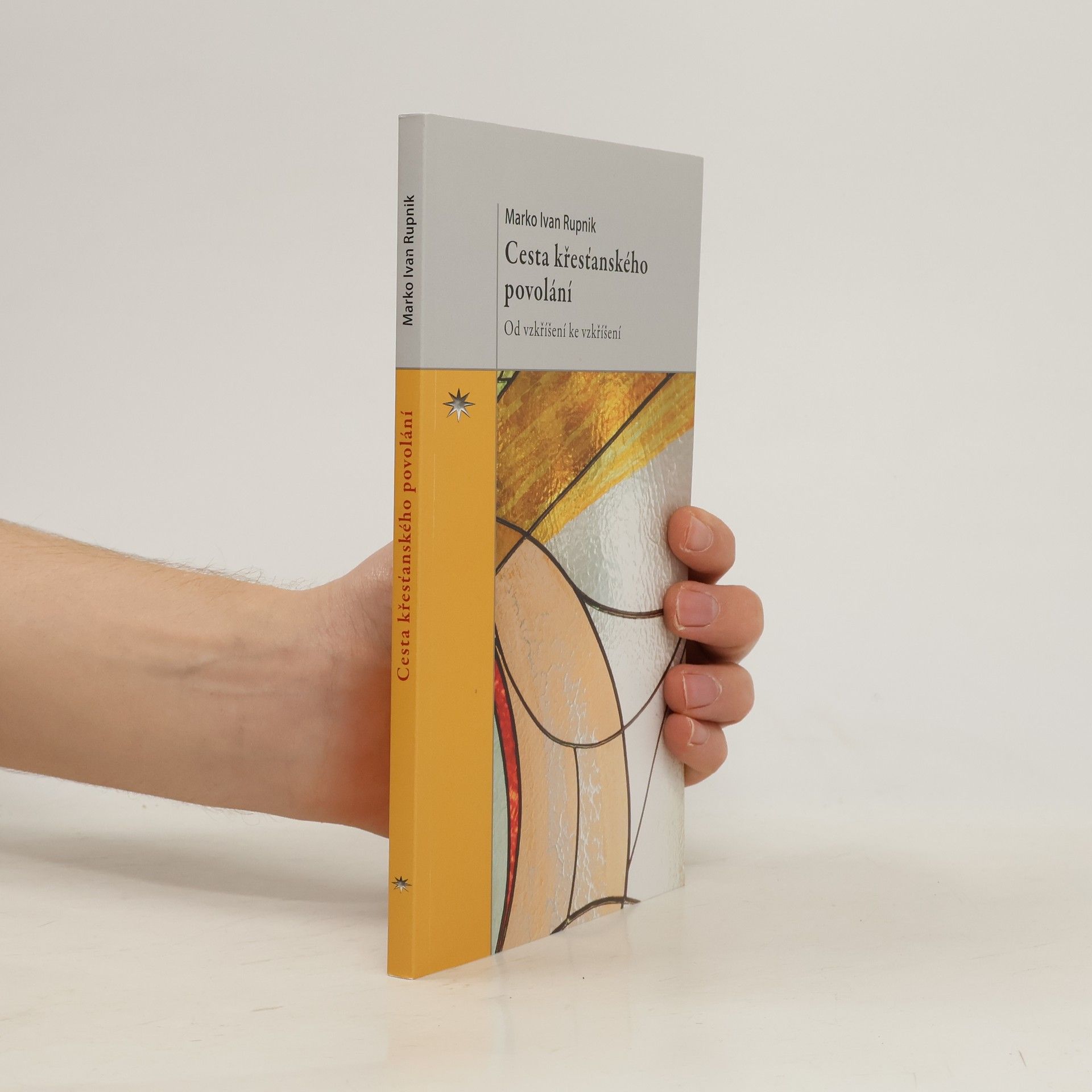 Marko Ivan Rupnik Cesta křesťanského povolání : od vzkříšení ke vzkříšení