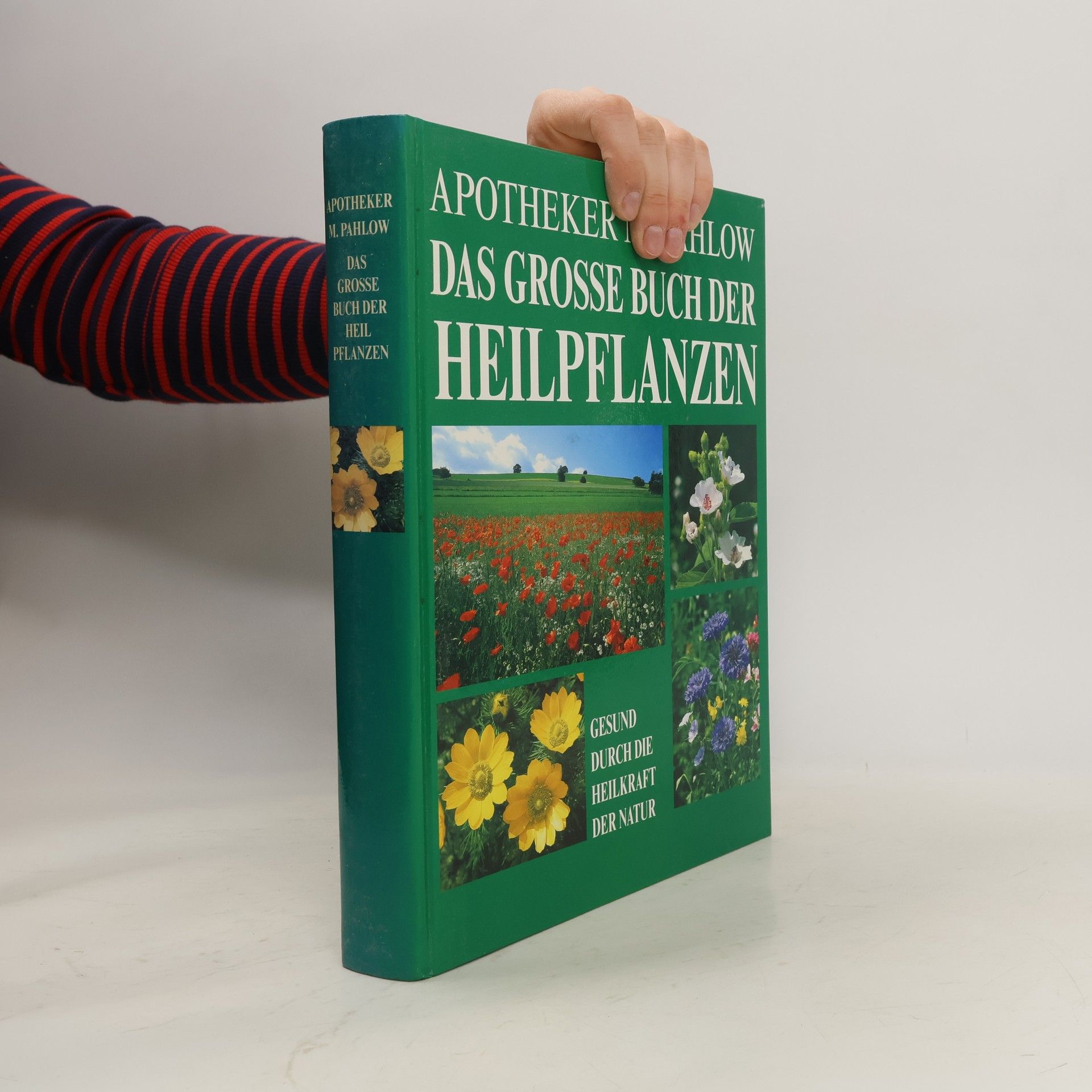 Mannfried Pahlow Das Große Buch der Heilpflanzen. Gesund durch die Heilkräfte der Natur