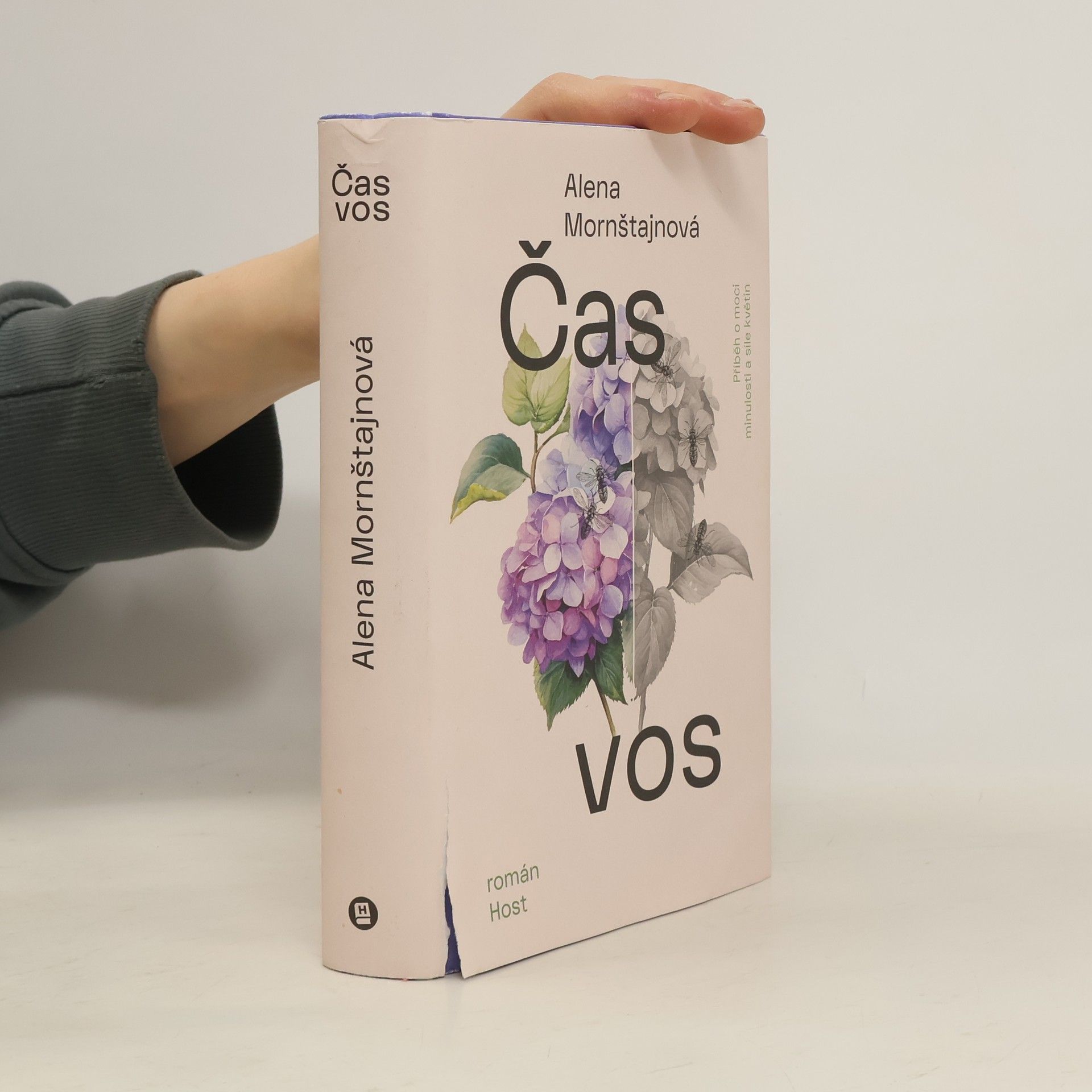 Alena Mornštajnová Čas vos