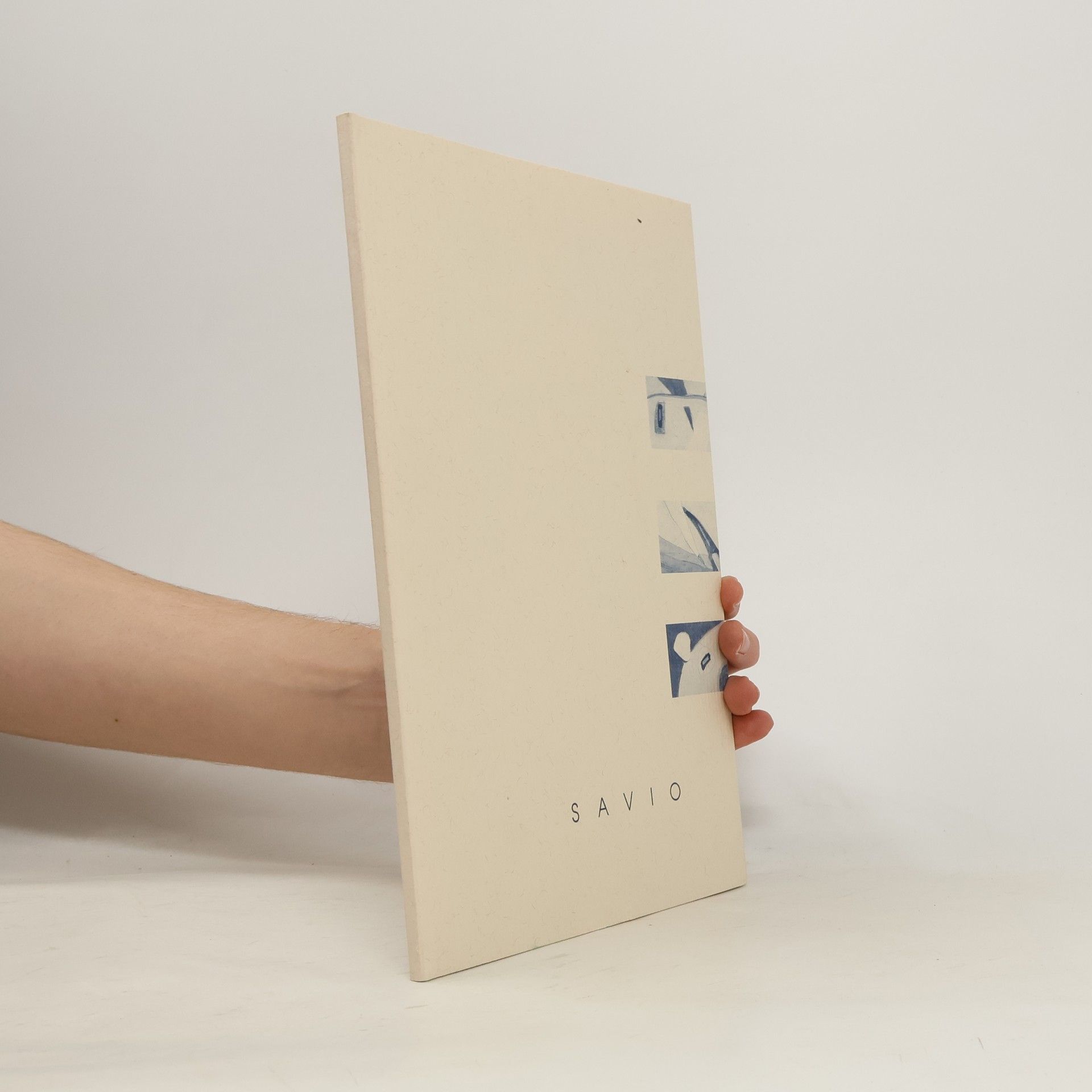 Autorenkollektiv Savio