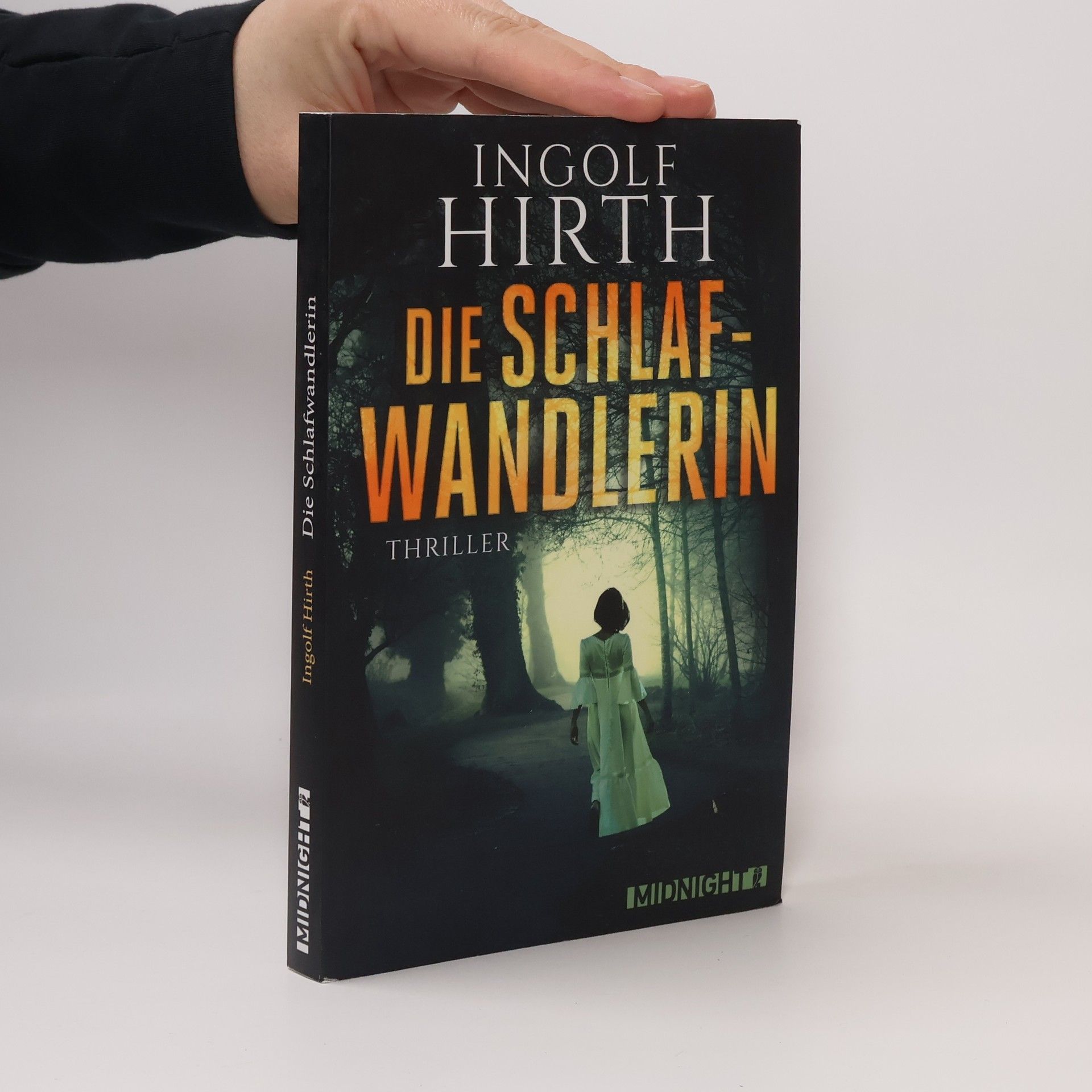 Ingolf Hirth Die Schlafwandlerin