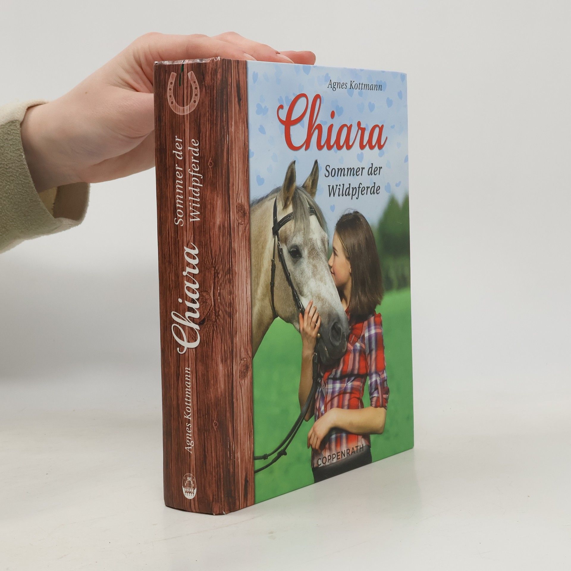 Chiara Sommer der Wildpferde