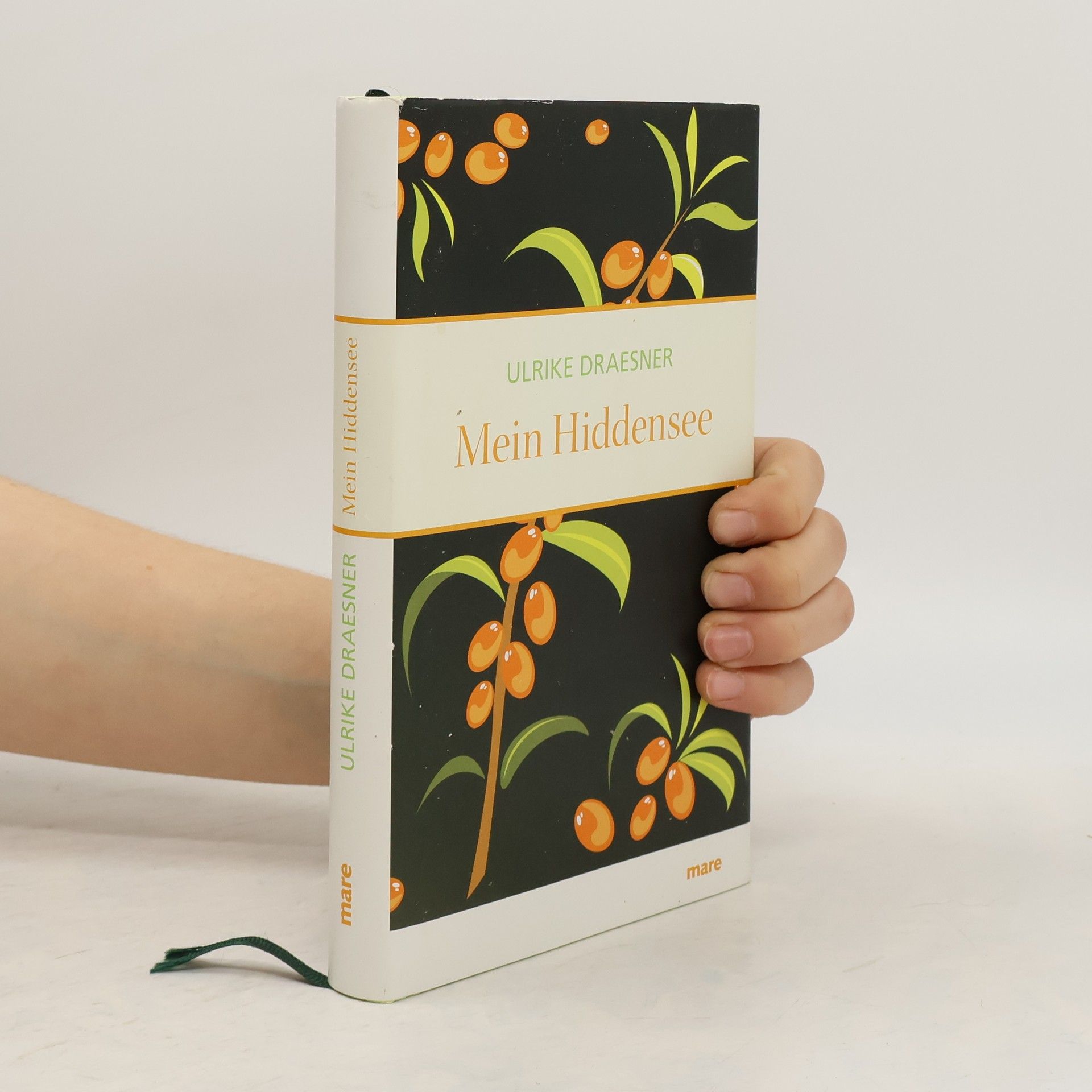 Ulrike Draesner Mein Hiddensee