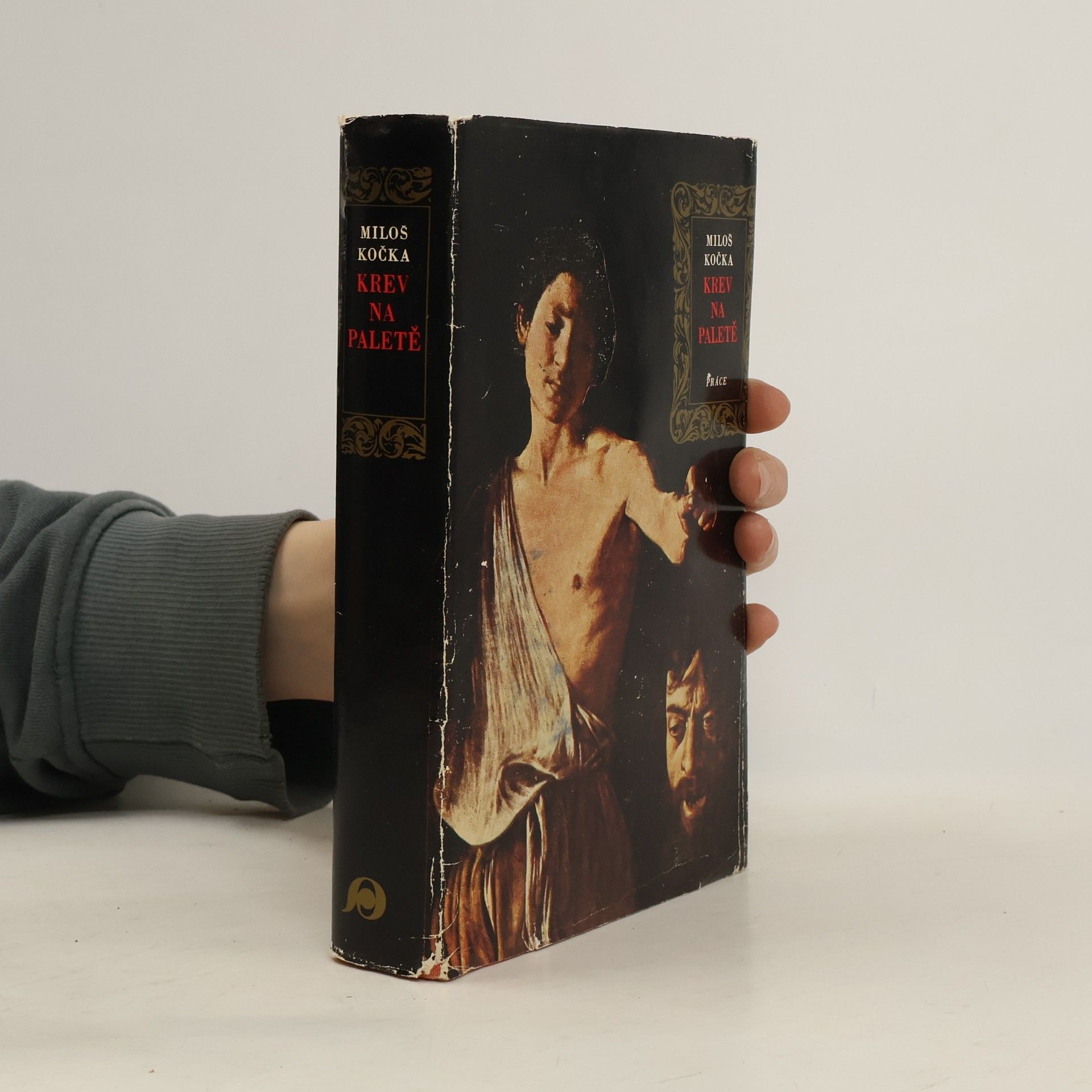 Miloš Kočka Krev na paletě