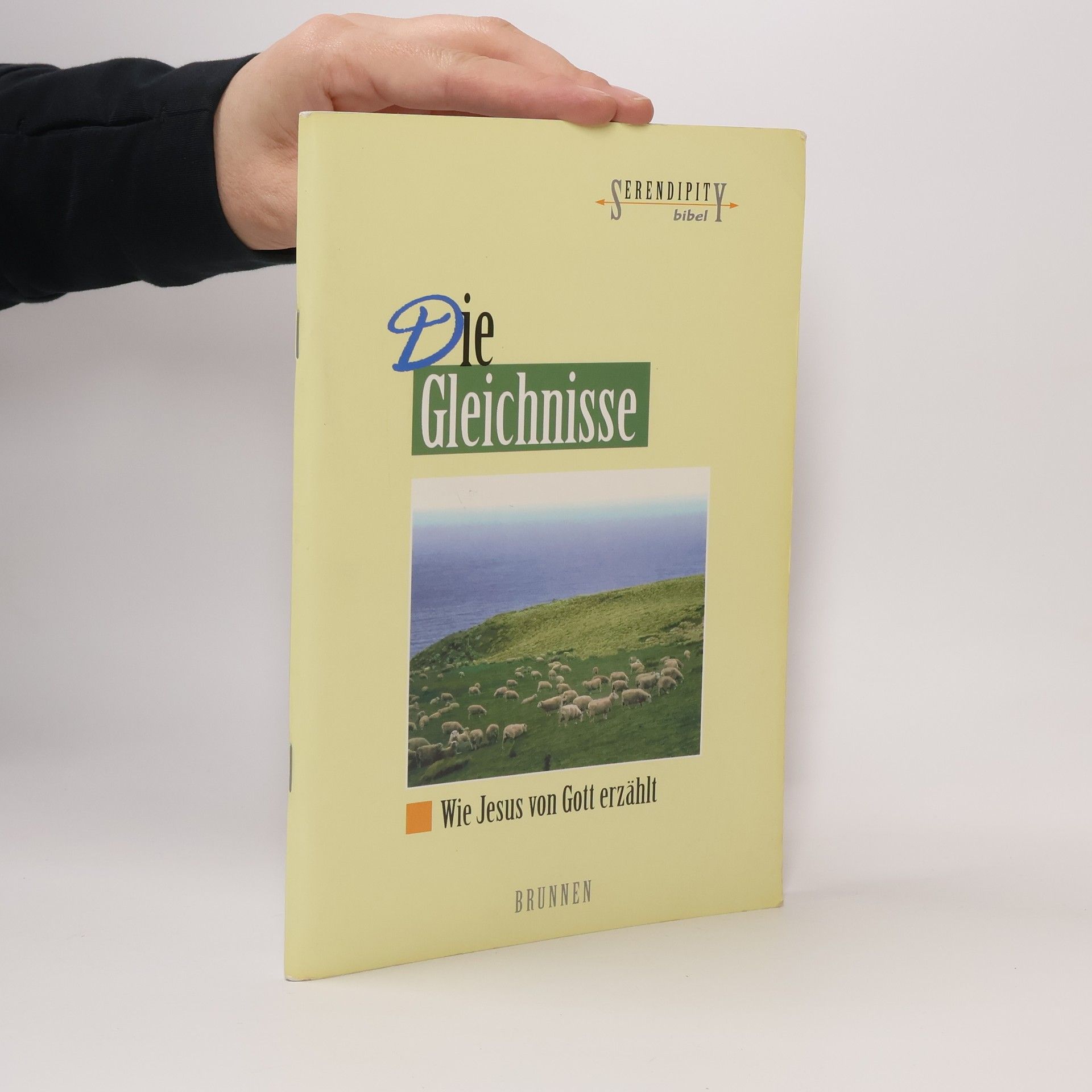 Renate Hübsch Die Gleichnisse