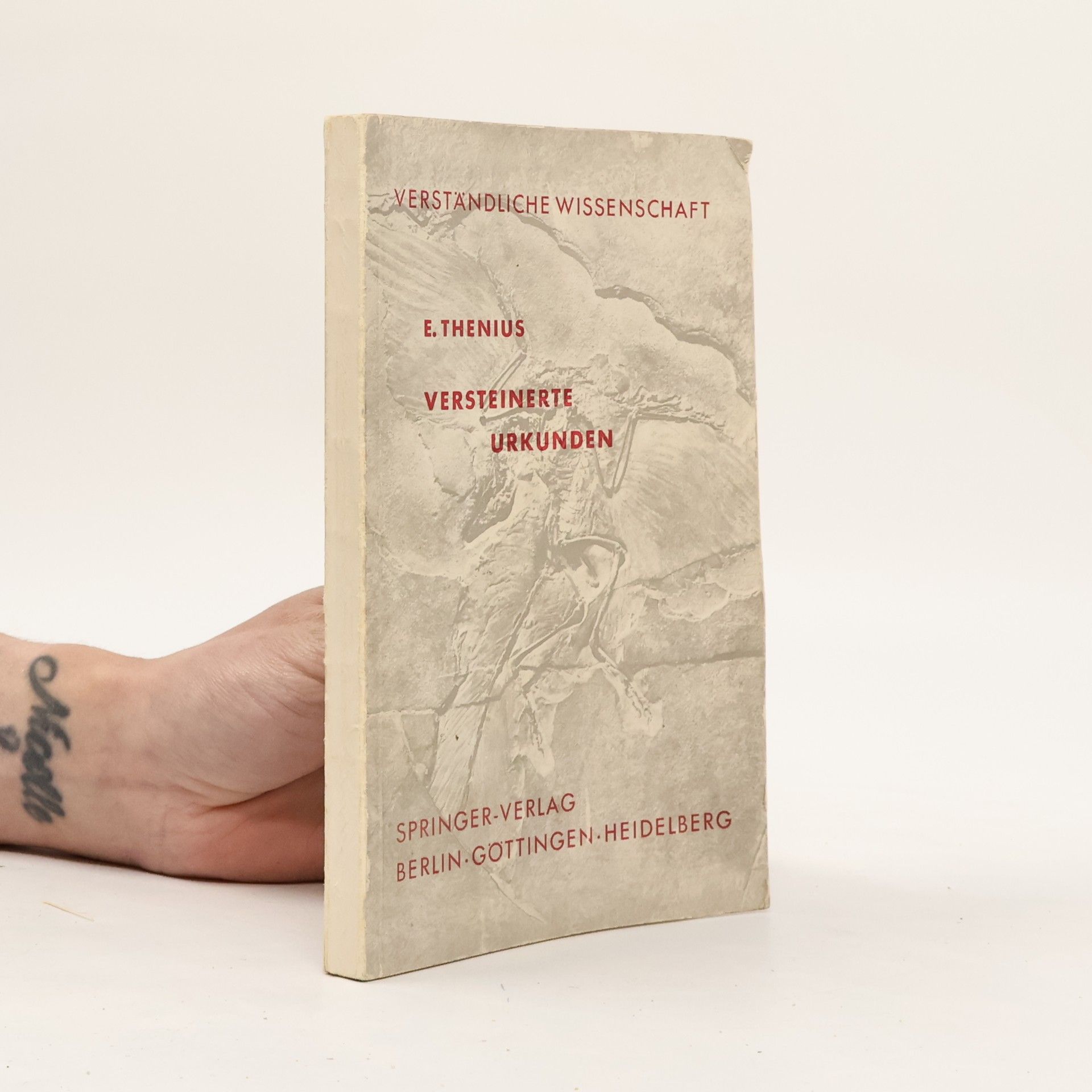 Versteinerte Urkunden