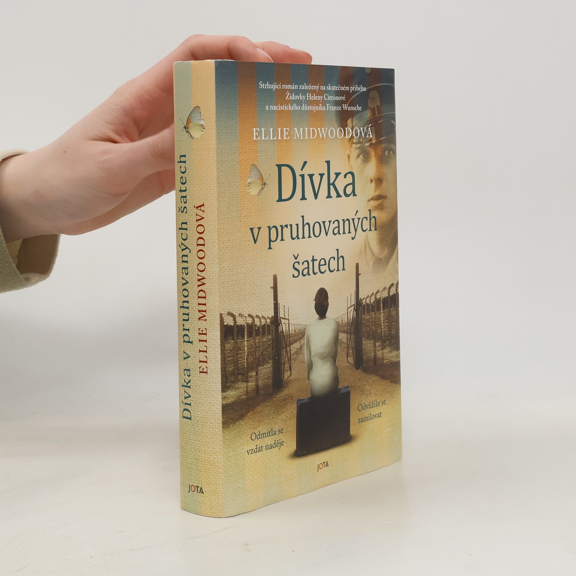 Ellie Midwood Dívka v pruhovaných šatech