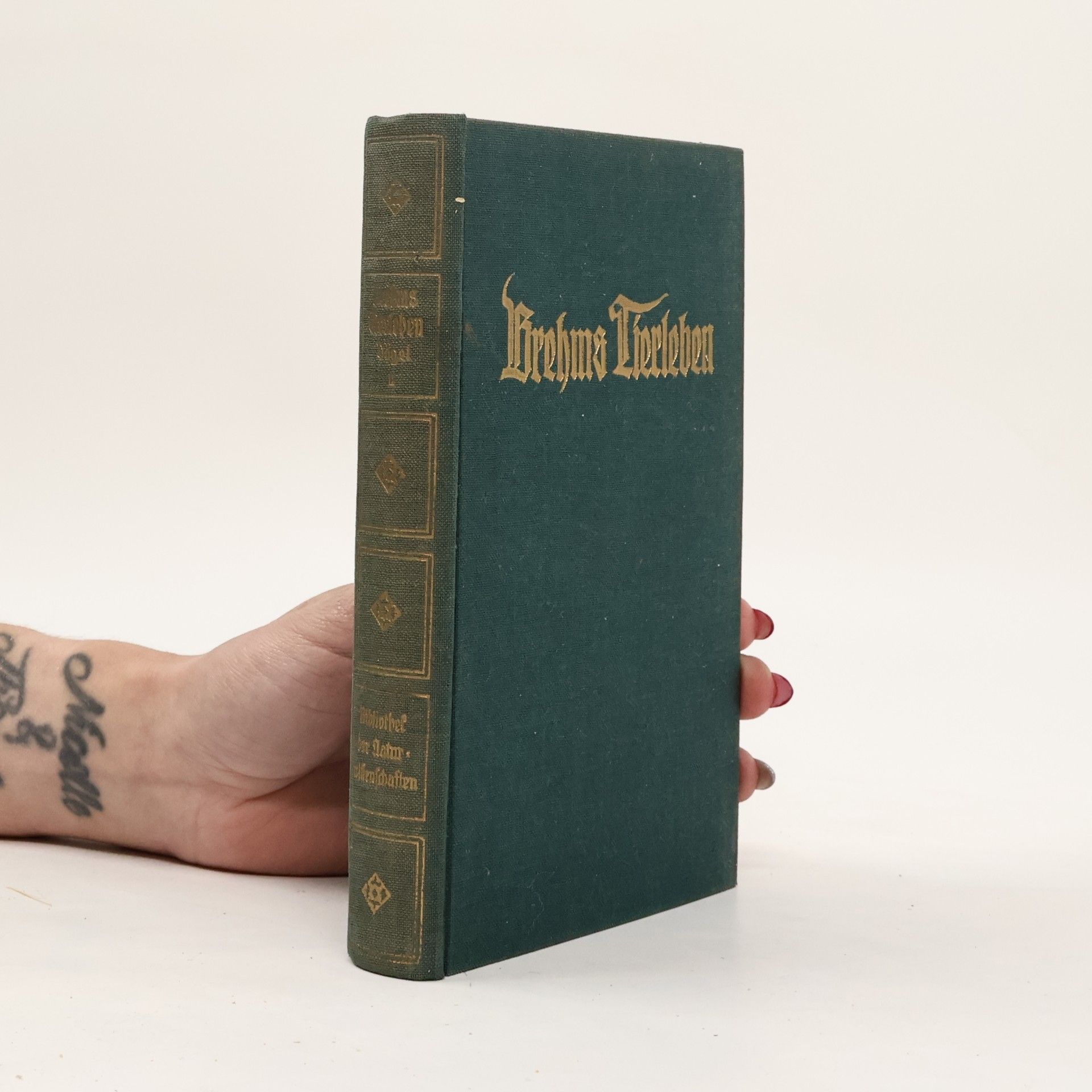 Alfred Edmund Brehm Brehms Tierleben 13