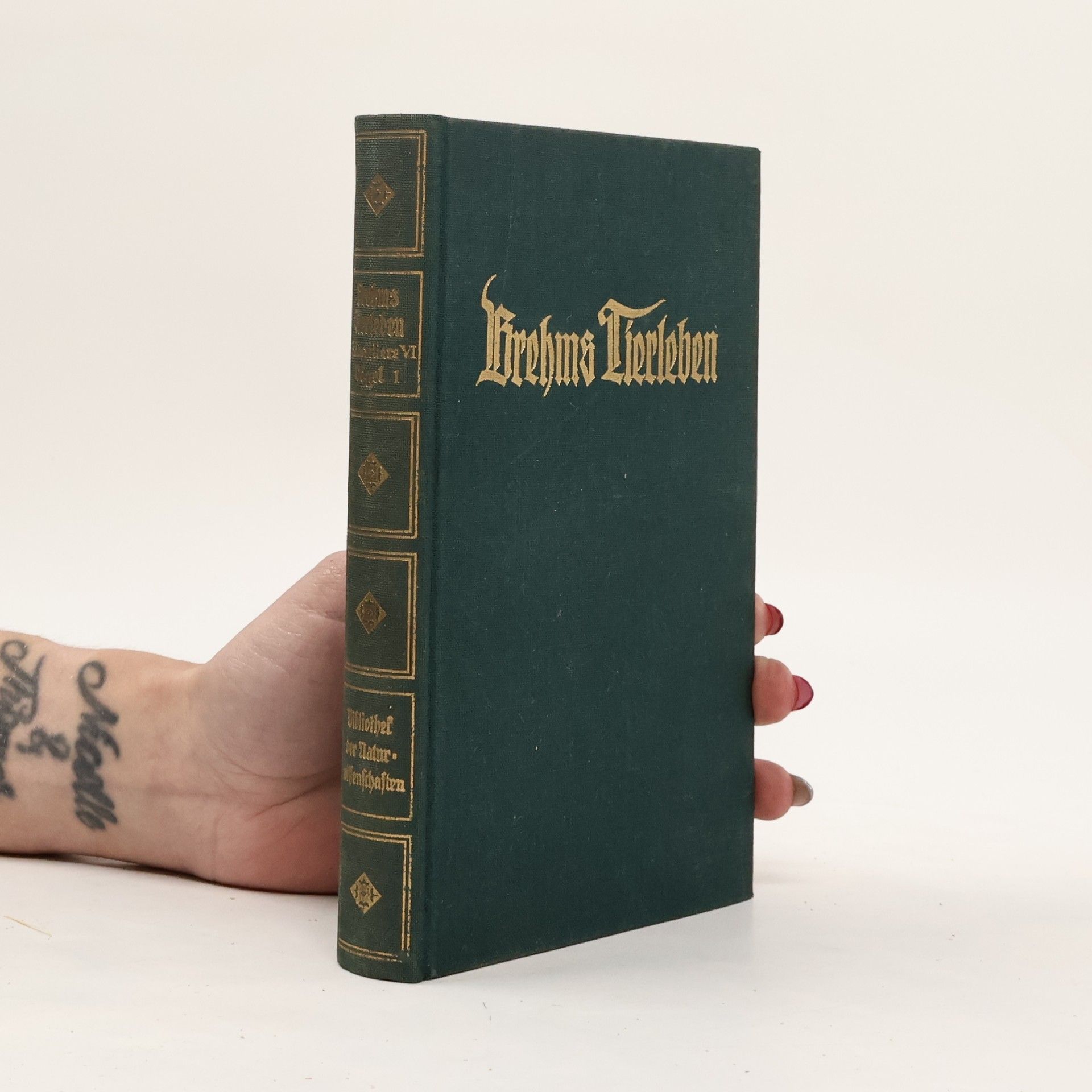 E. L. Taschenberg Brehms Tierleben 11. Sirenen und Wale