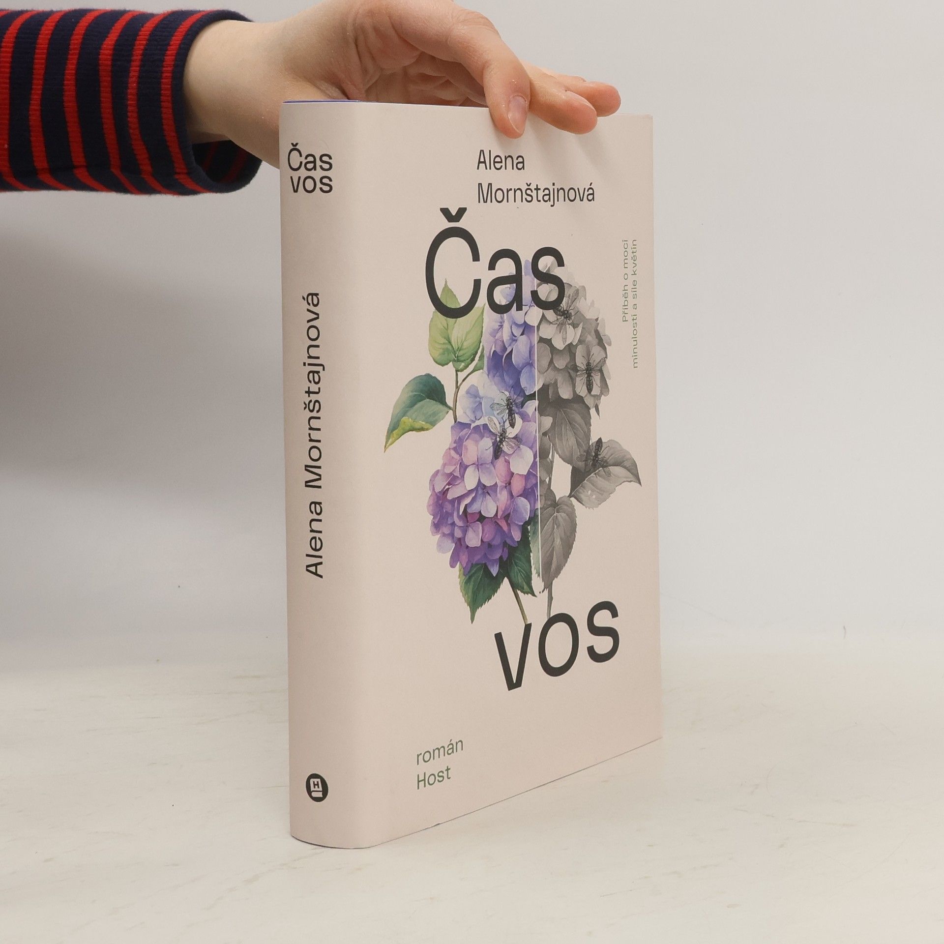 Alena Mornštajnová Čas vos
