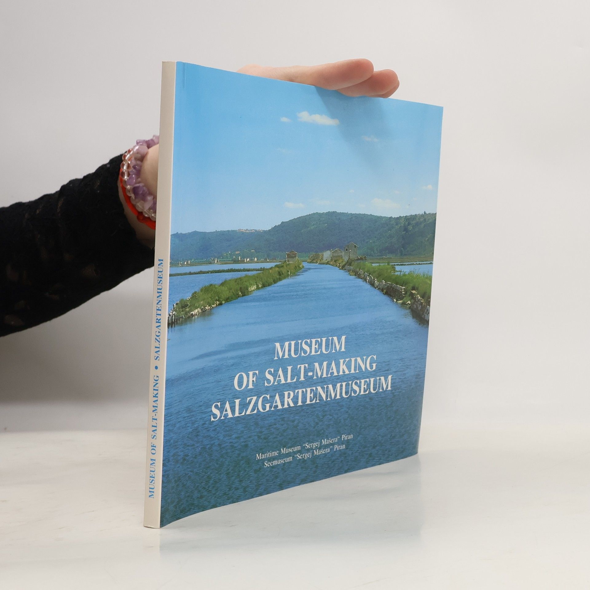 Kolektív autorov Musem of Salt-Making. Salzgartenmuseum