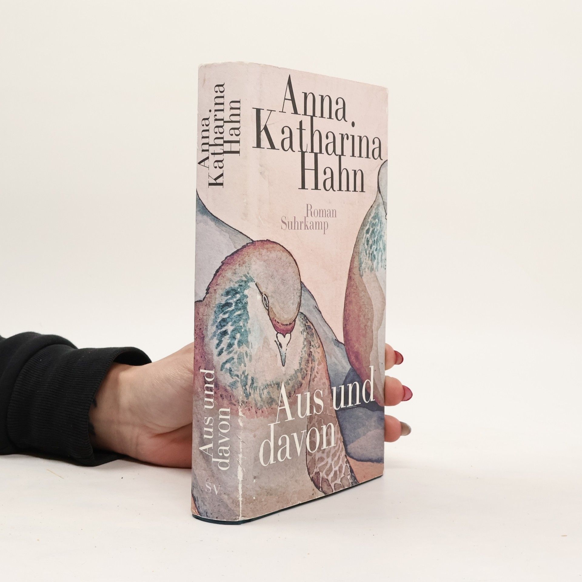 Anna Katharina Hahn Aus und davon