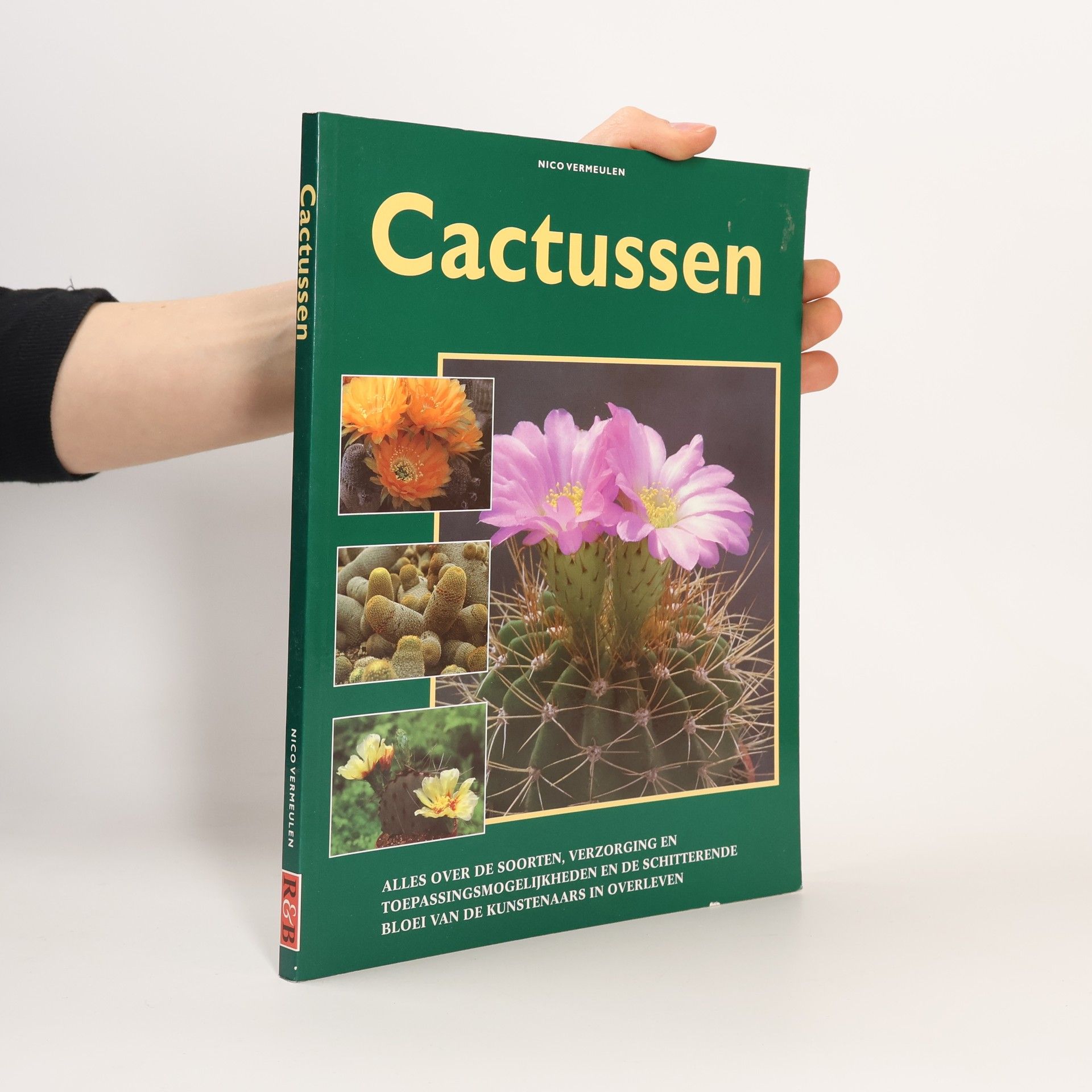 Nico Vermeulen Cactussen