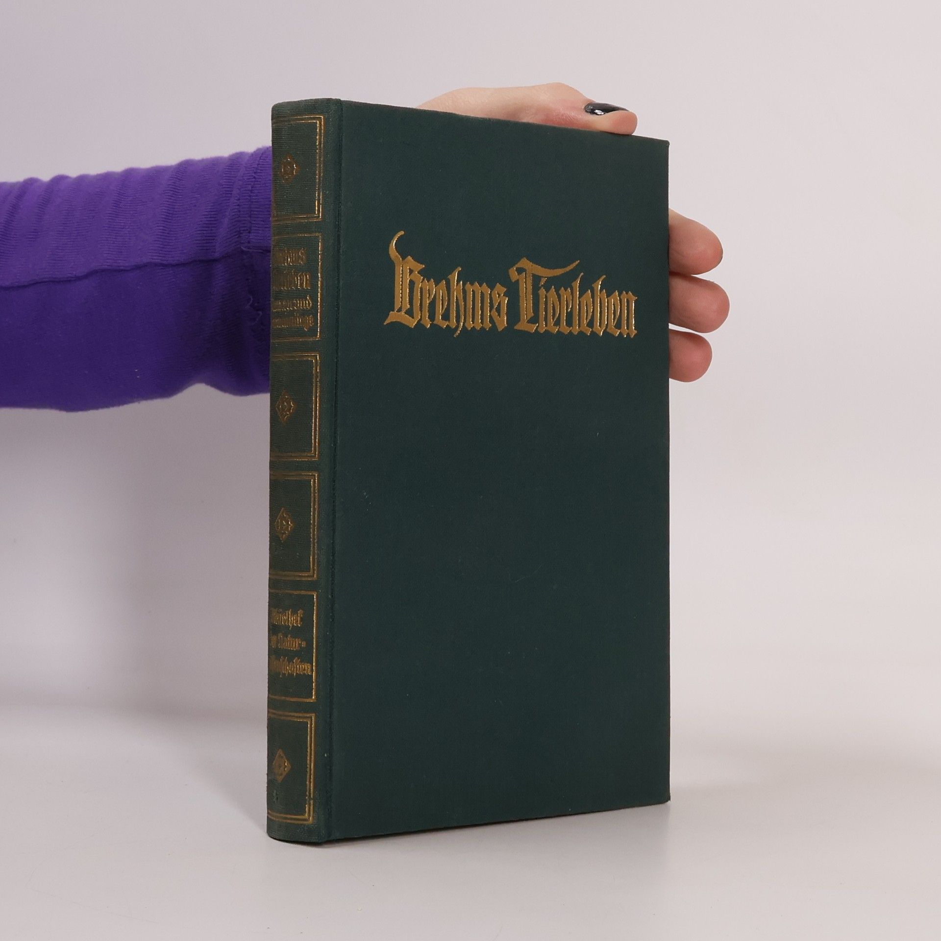 E. L. Taschenberg Brehms Tierleben 3