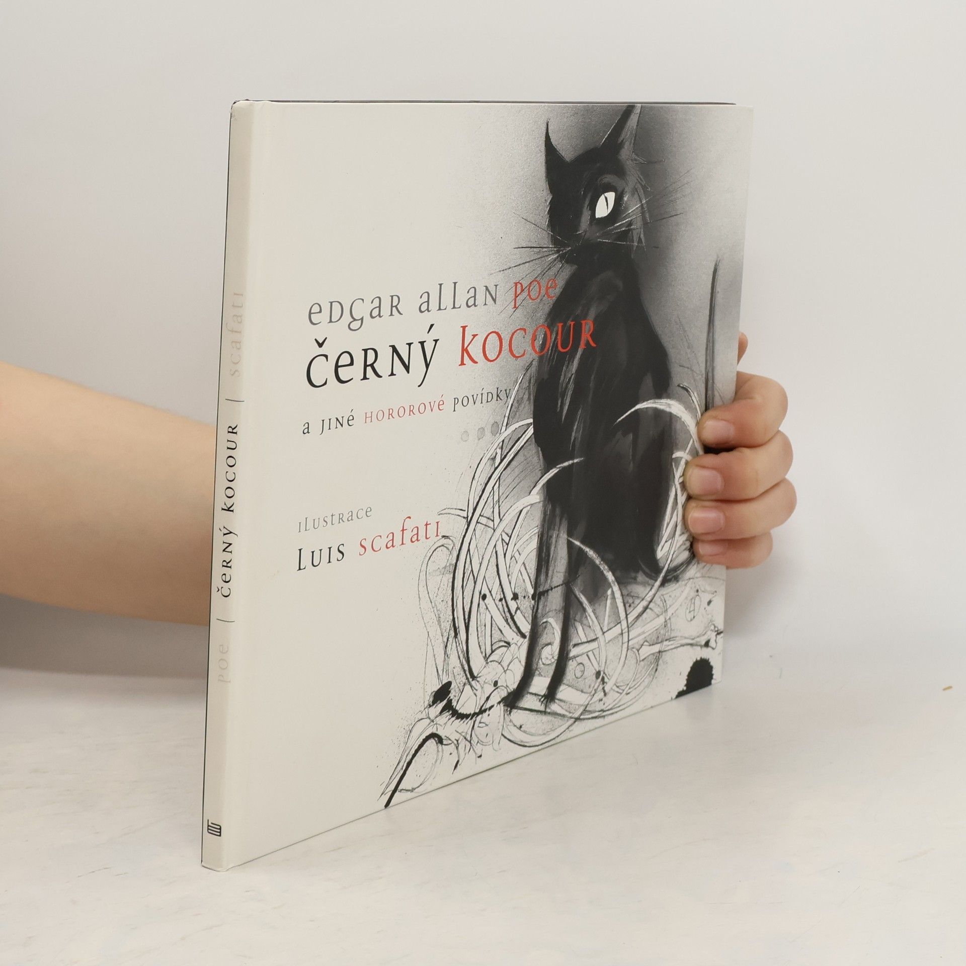 Edgar Allan Poe Černý kocour a jiné hororové povídky