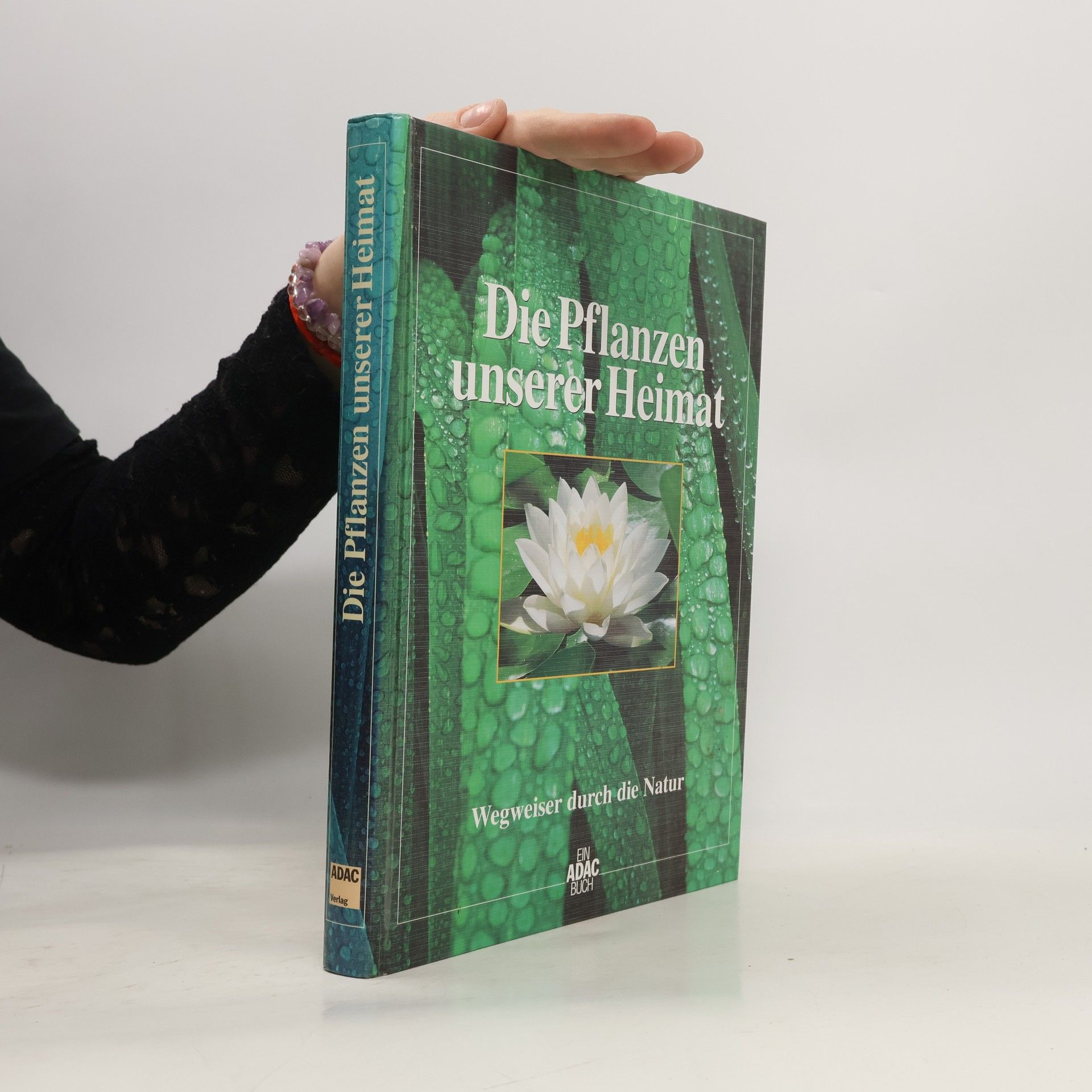 Gunter Steinbach Die Pflanzen unserer Heimat