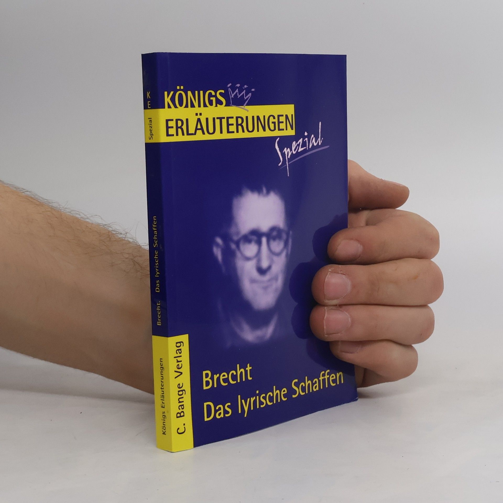 Rüdiger Bernhardt Brecht das lyrische Schaffen