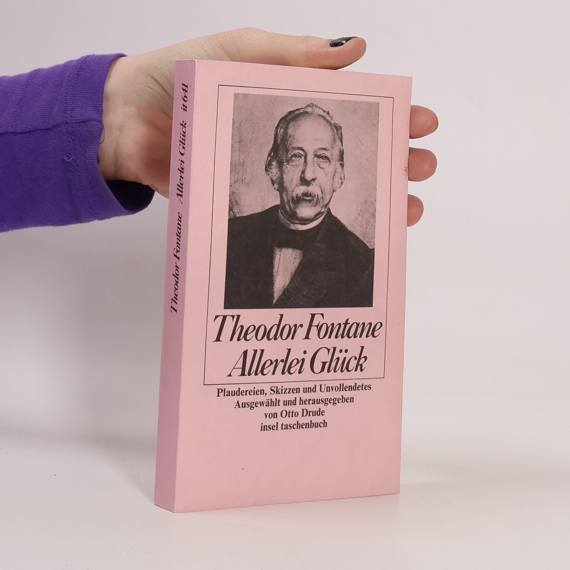 Theodor Fontane Allerlei Glück