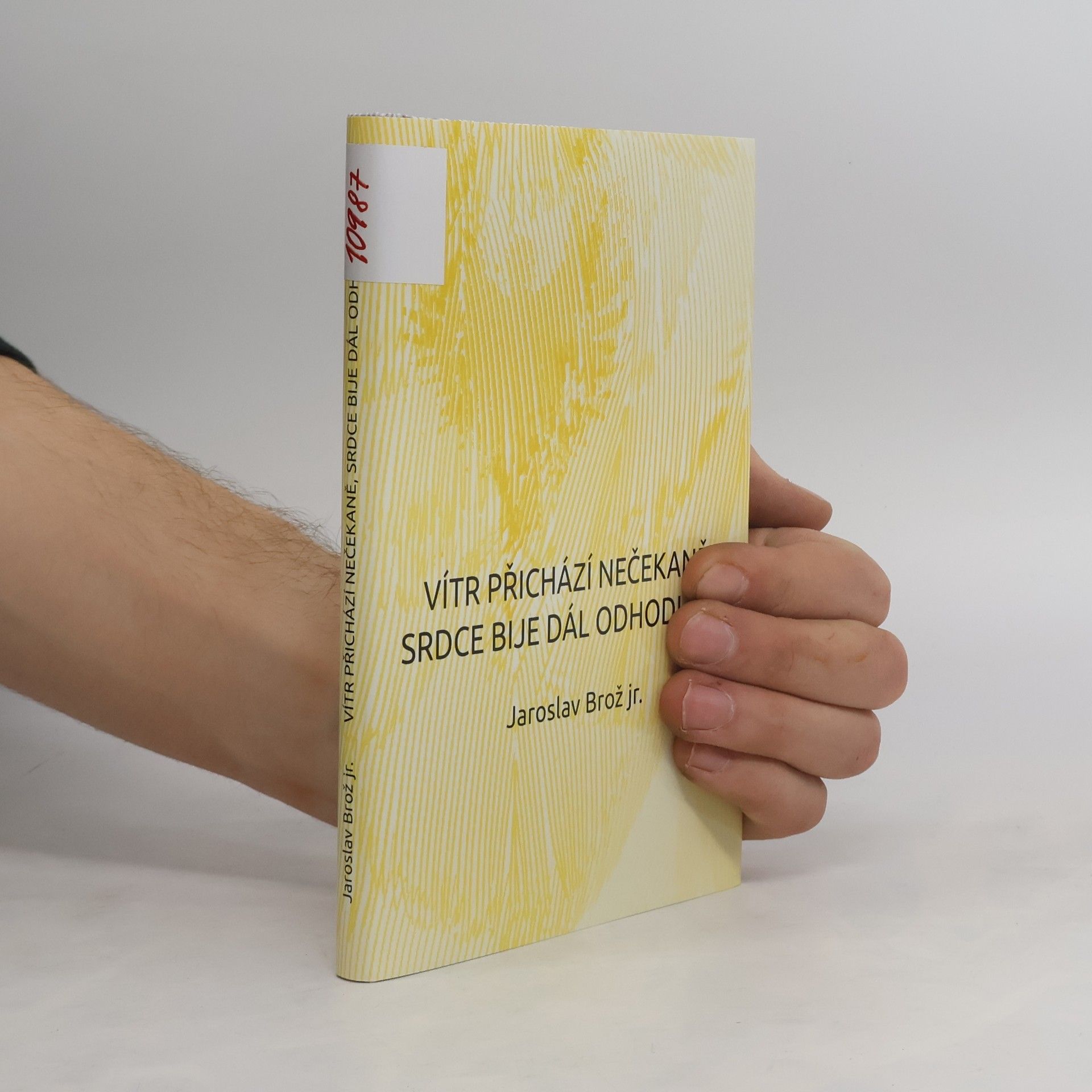 Jaroslav Brož Vítr přichází nečekaně, srdce bije dál odhodlaně