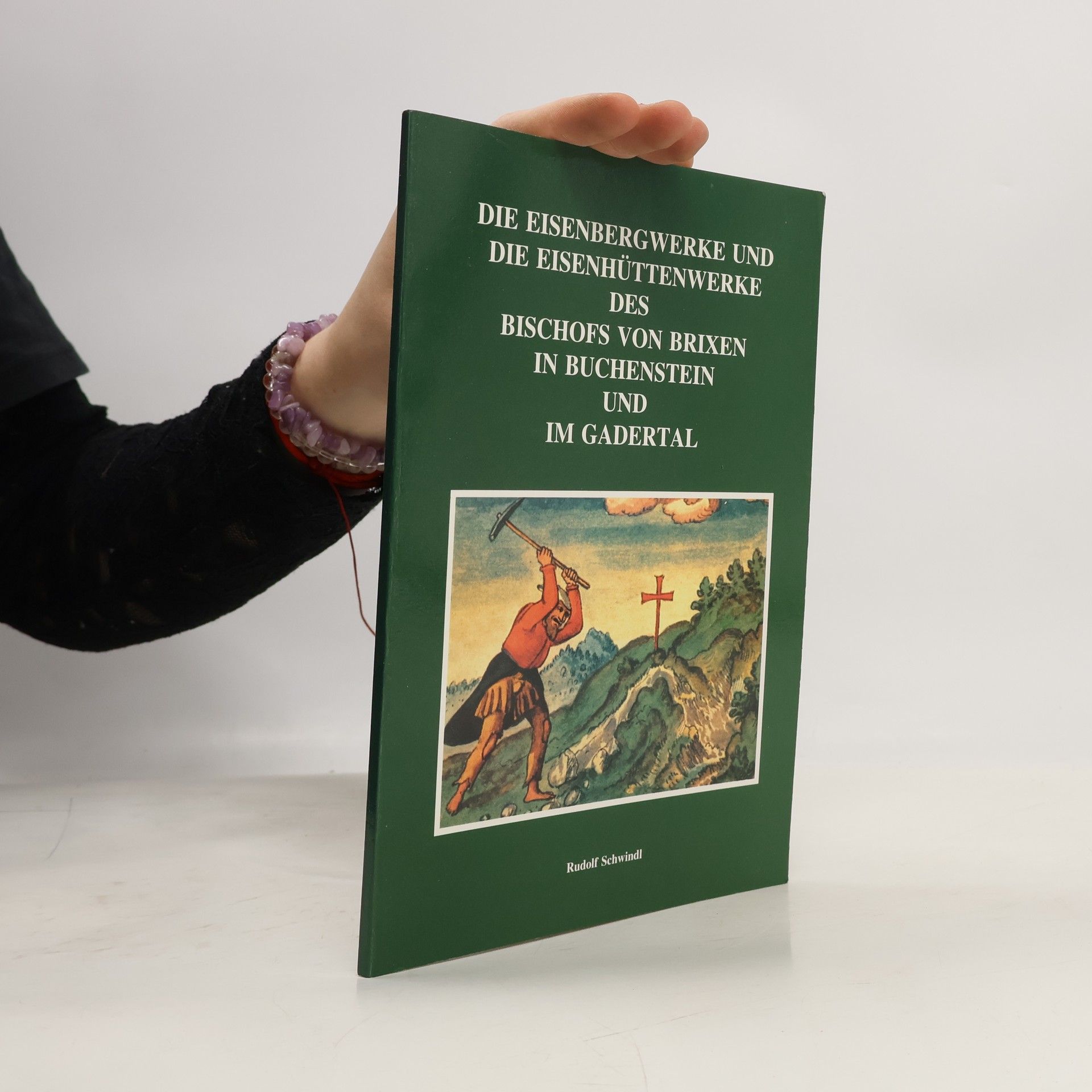 Rudolf Schwindl Die Eisenbergwerke und die Eisenhüttenwerke des Bischofs von Brixen in Buchenstein und im Gadertal