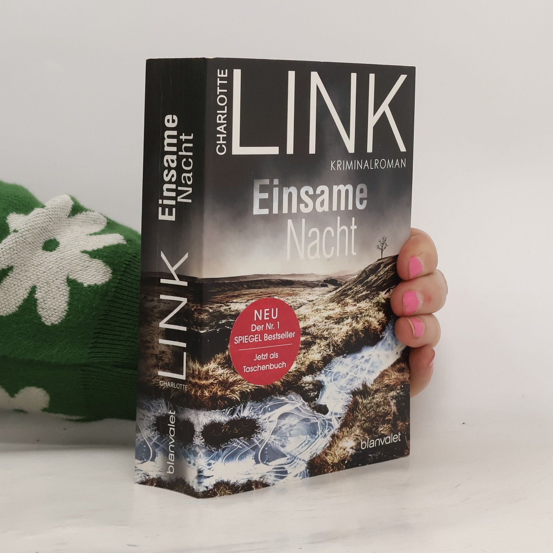 Charlotte Link Einsame Nacht