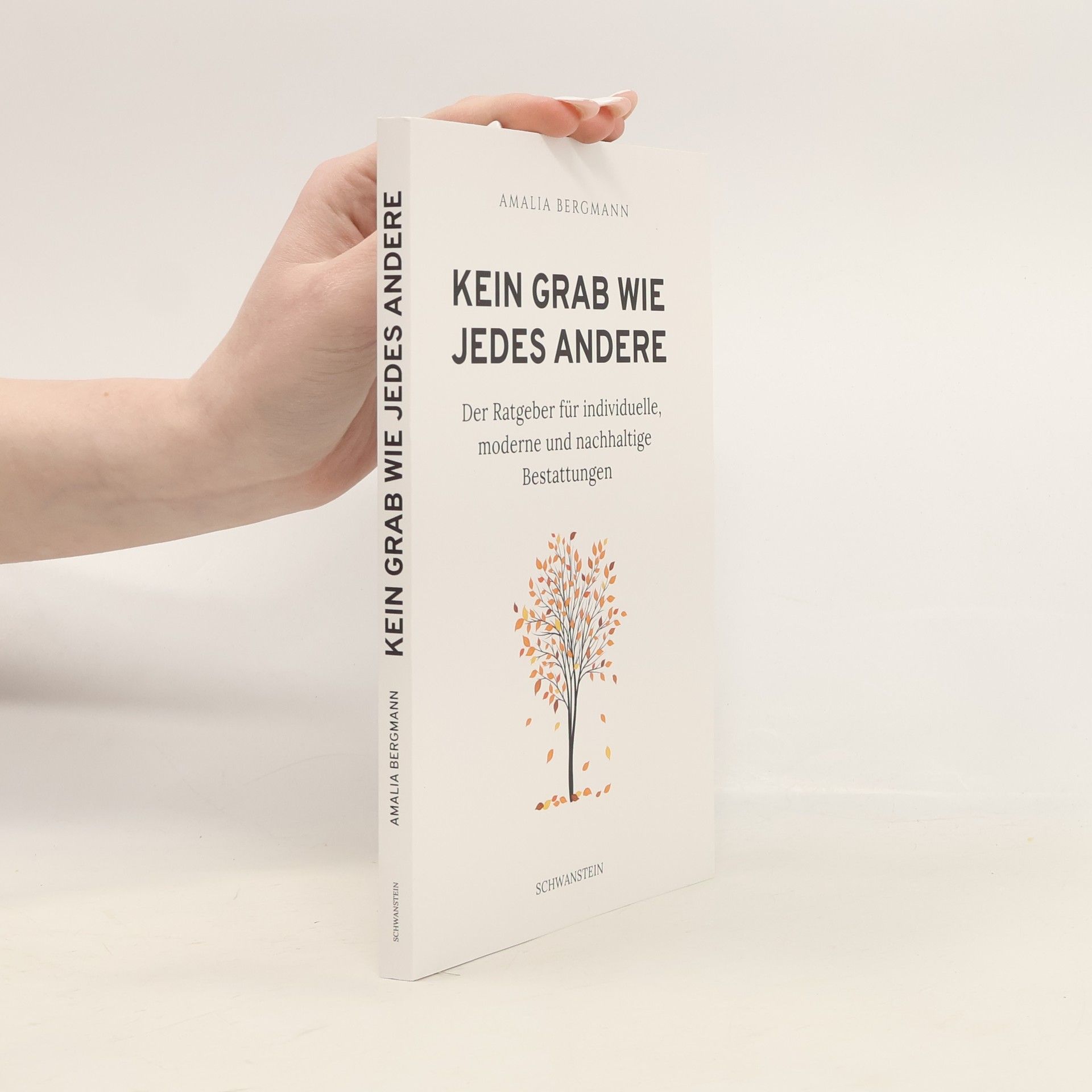 Amalia Bergmann Kein Grab wie jedes andere