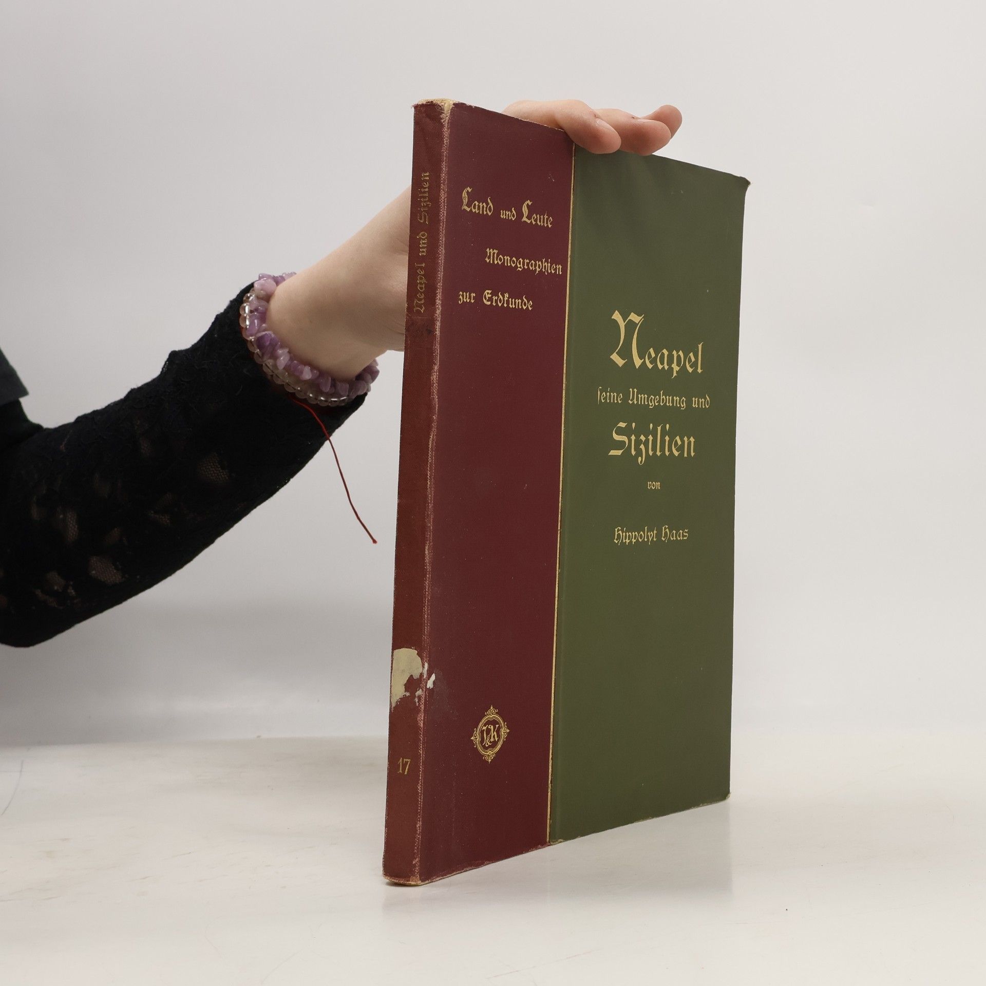 Hippolyt Haas Neapel, seine Umgebung und Sizilien