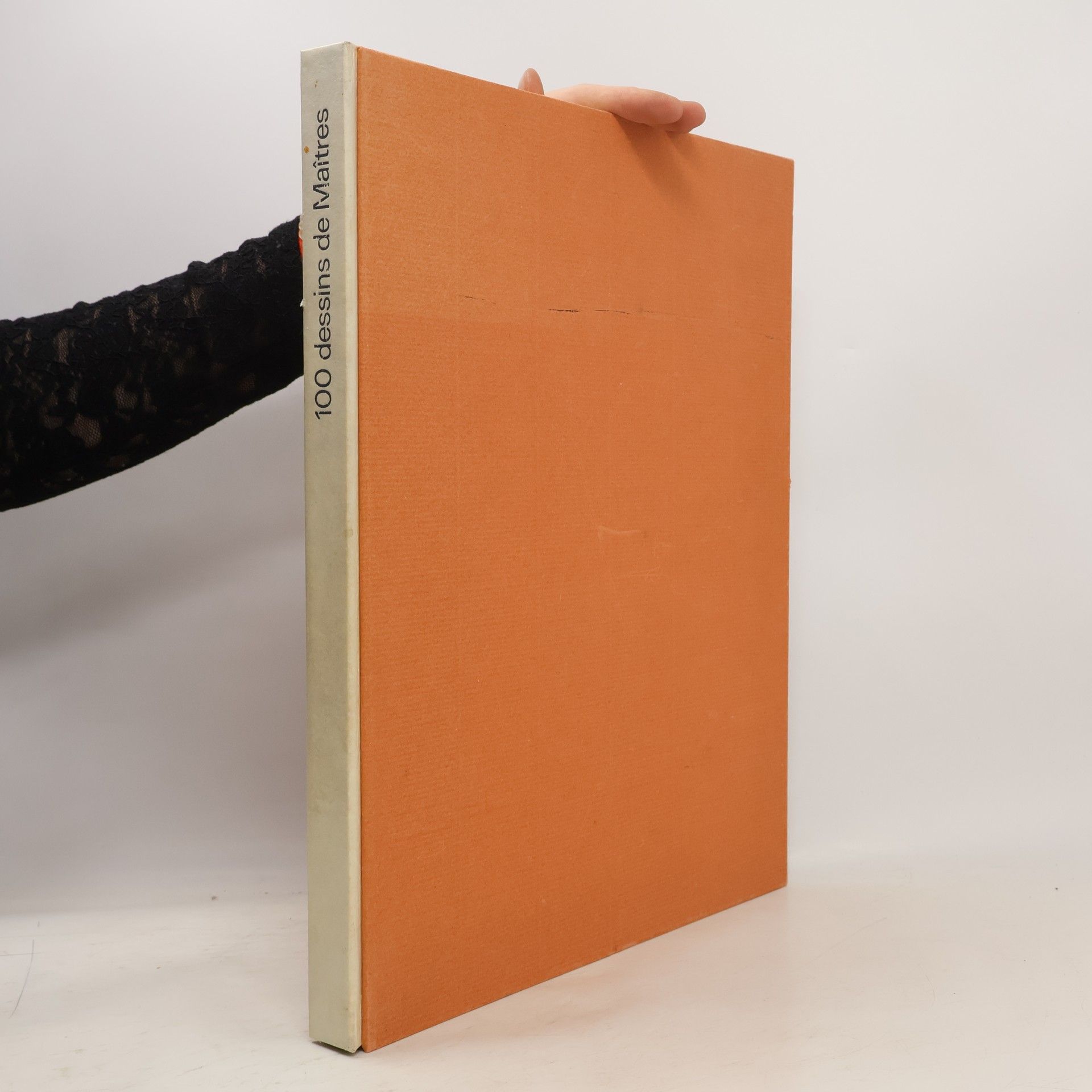 Kolektiv autorů 100 dessins de Maîtres des XVe et XVIe siècles tirés du Cabinet des Estampes de Bâle