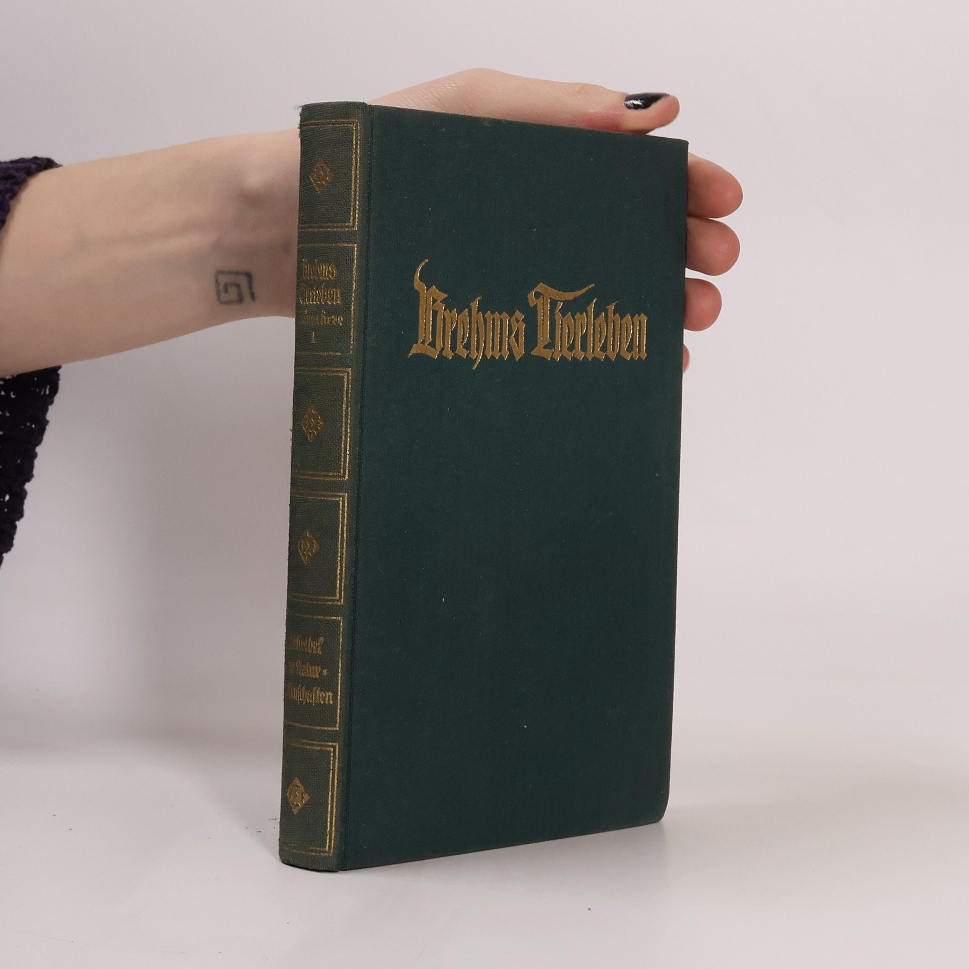 E. L. Taschenberg Brehms Tierleben. Kriechtiere. Reptilien 1: Schildkröten, Panzrechſen, Schuppeneßſen