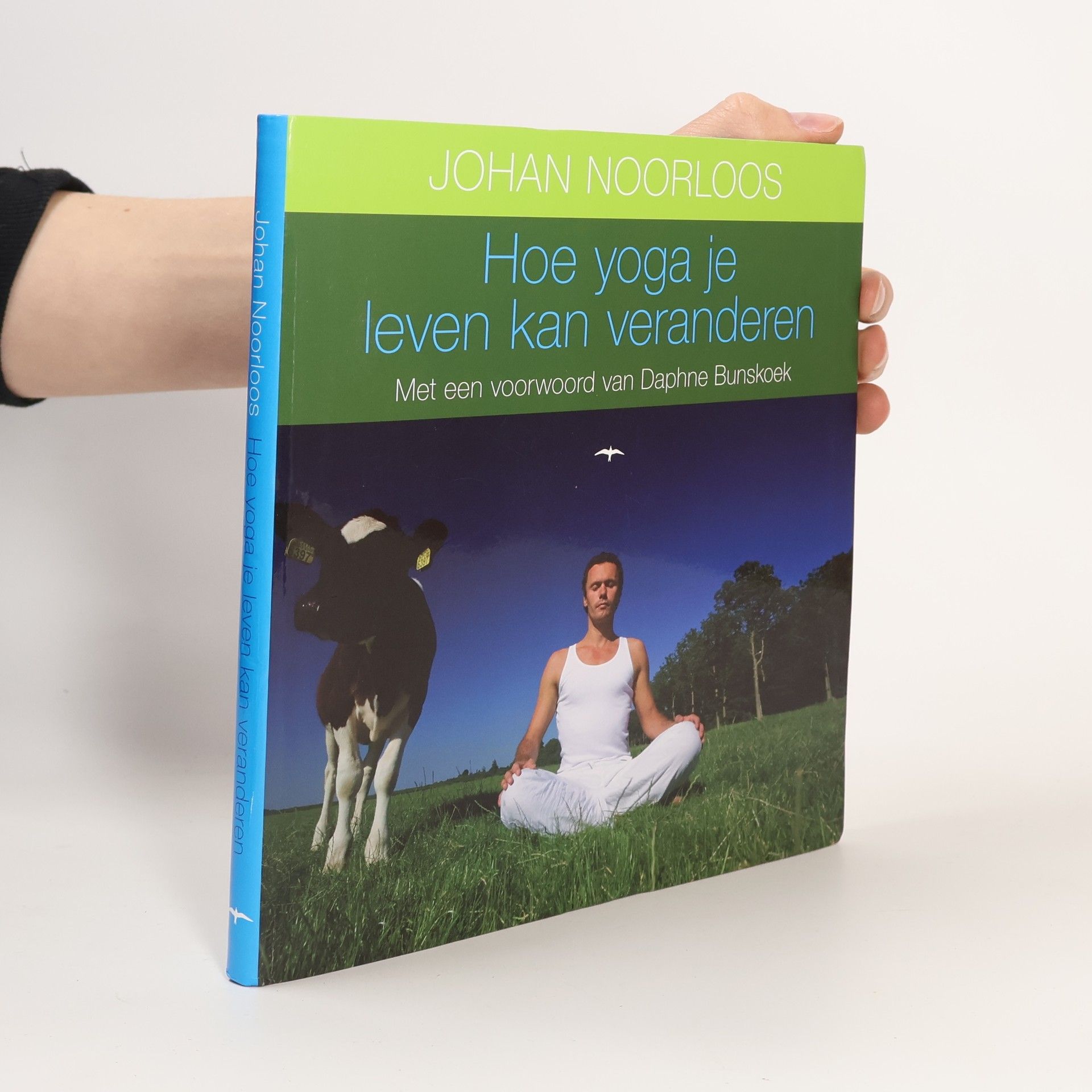 Johan Noorloos Hoe yoga je leven kan veranderen