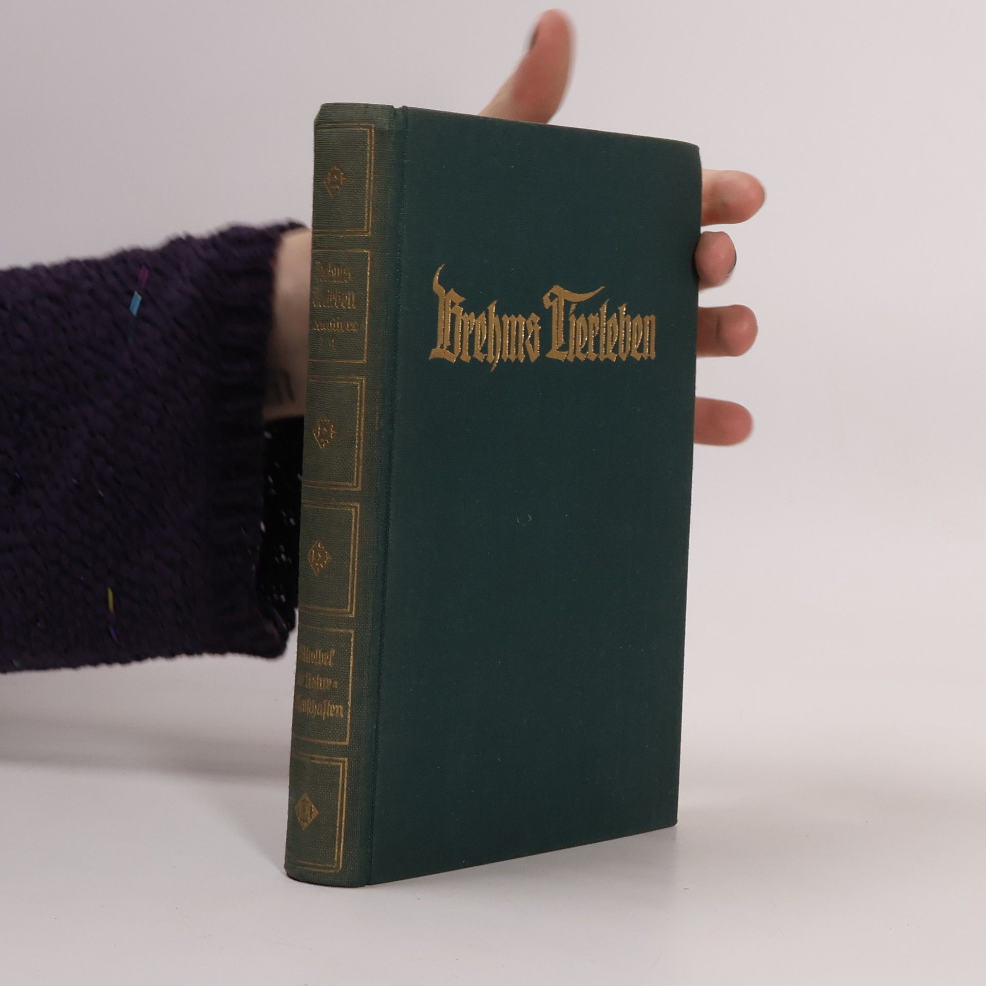 Autorenkollektiv Brehms Tierleben. Band 9 : Weichtiere I.