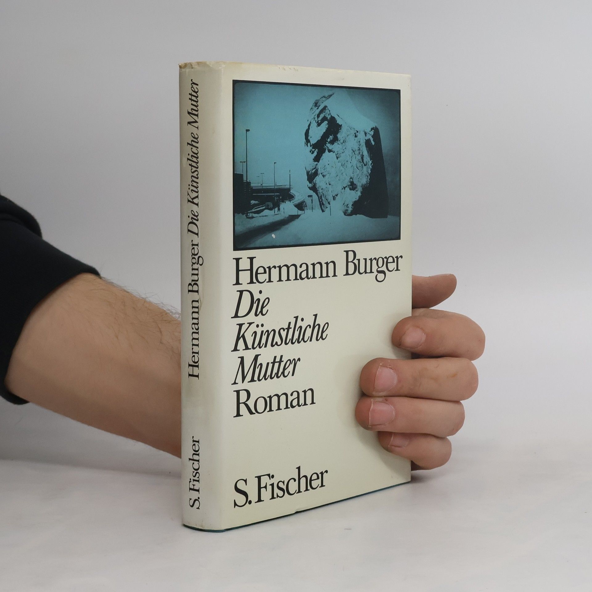 Hermann Burger Die künstliche Mutter