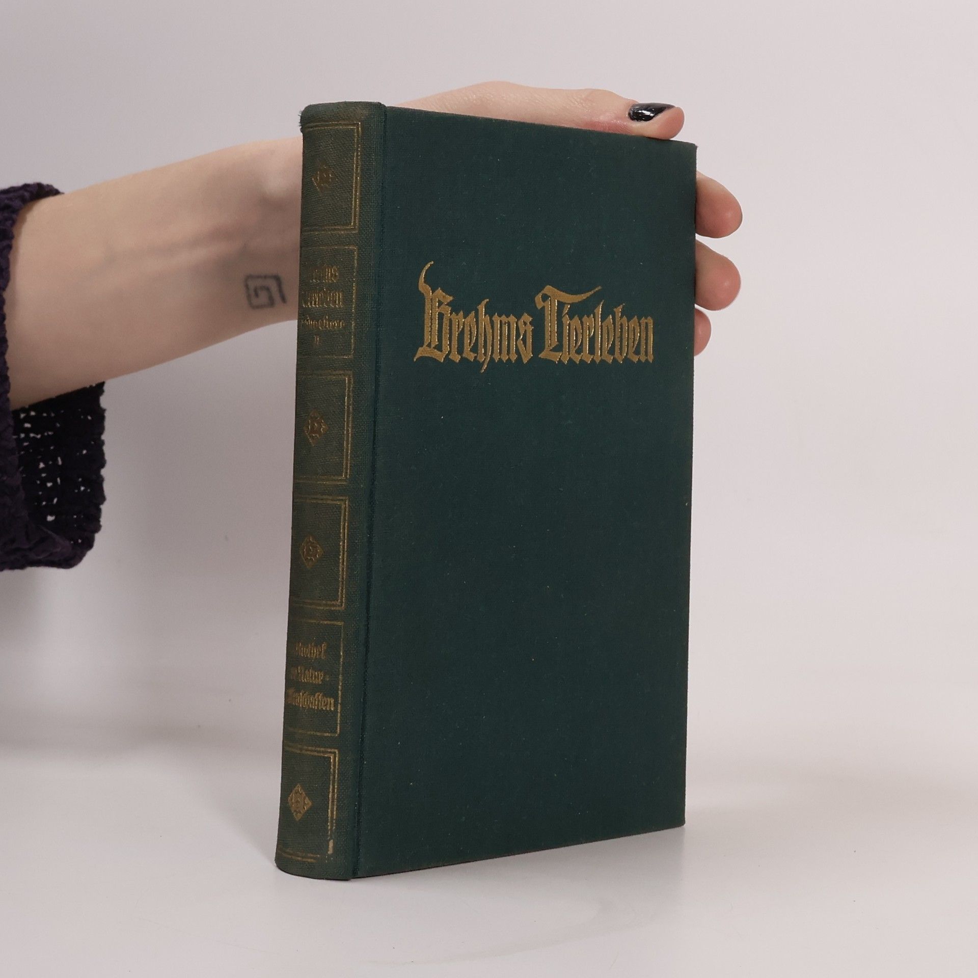 Autores varios Brehms Tierleben Band 3