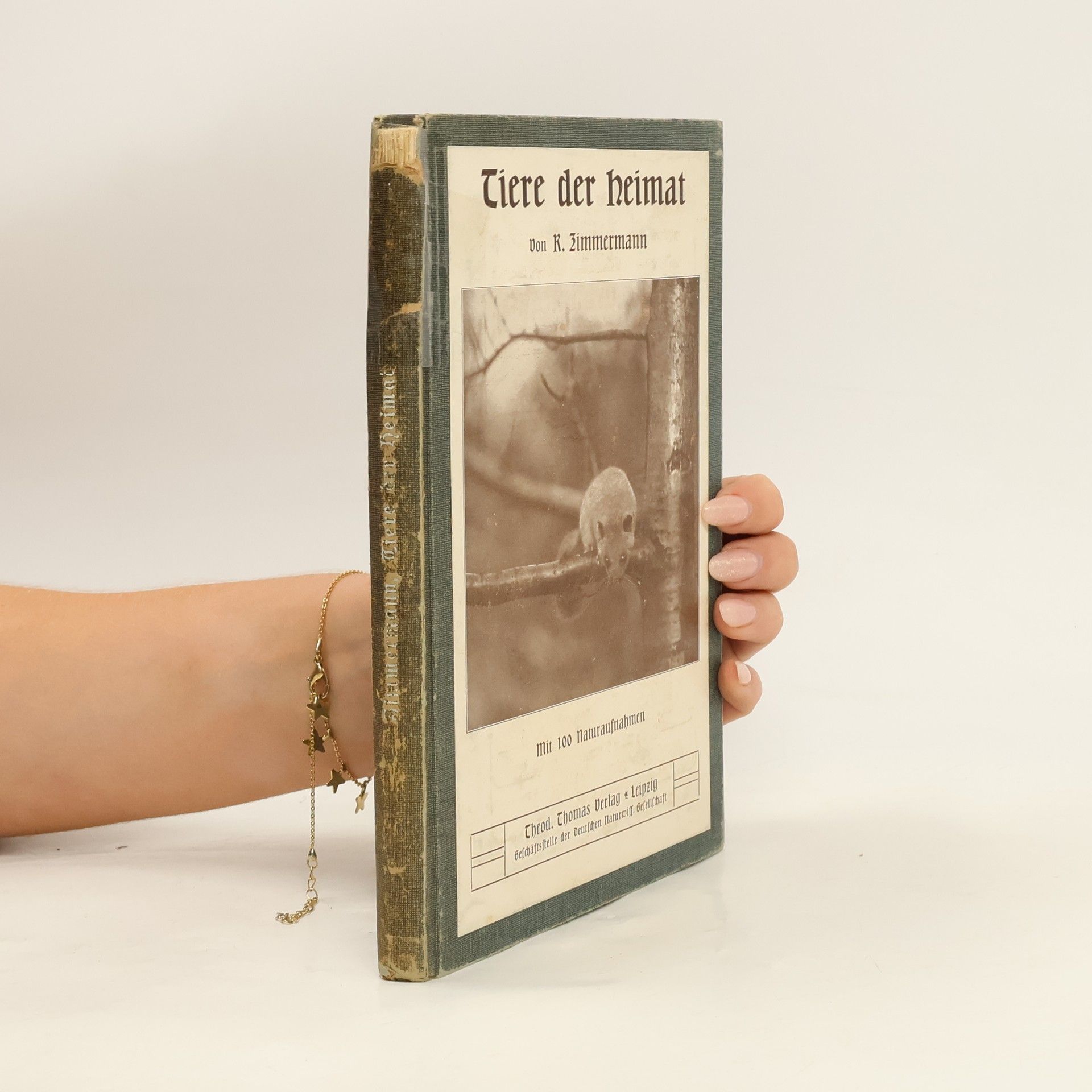R. Zimmermann Tiere der Heimat